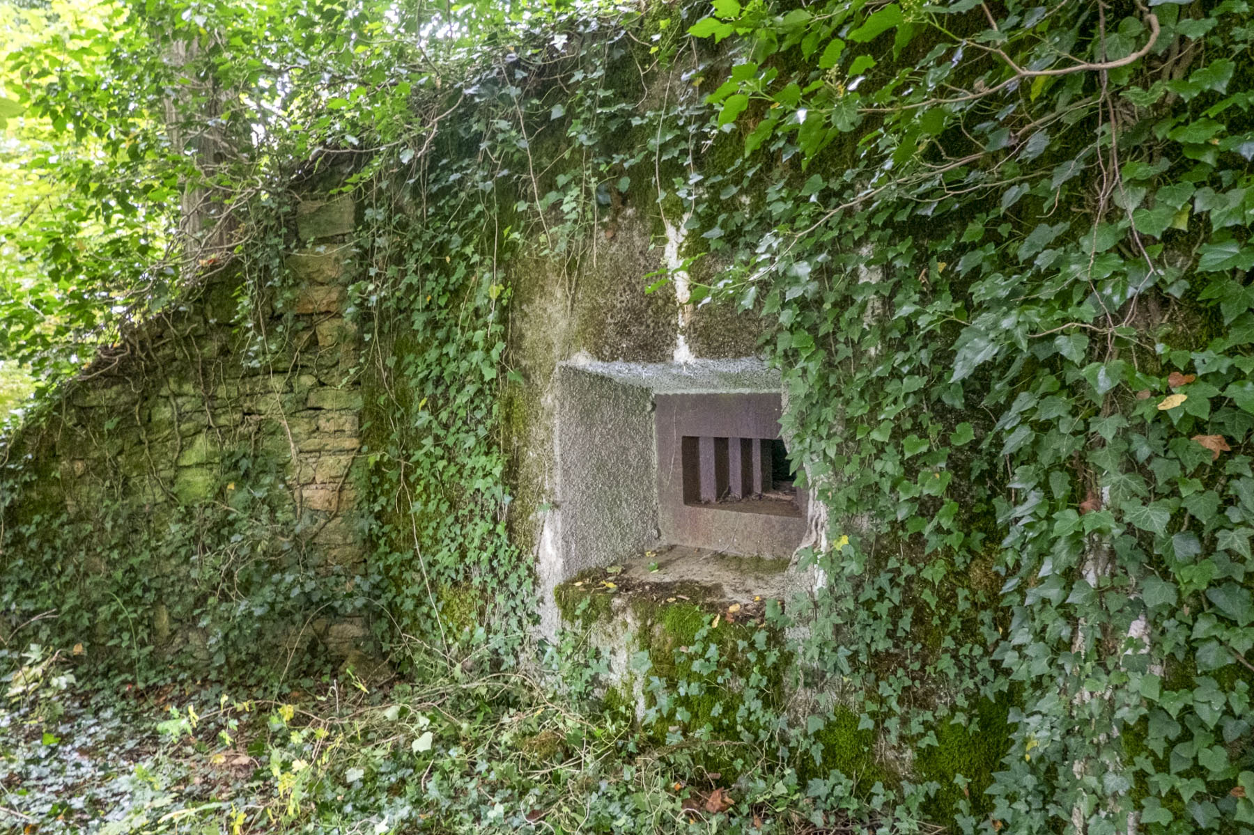 Ligne Maginot - DB329 - BOIS DE LA HEURETTE EST - (Blockhaus pour canon) - 