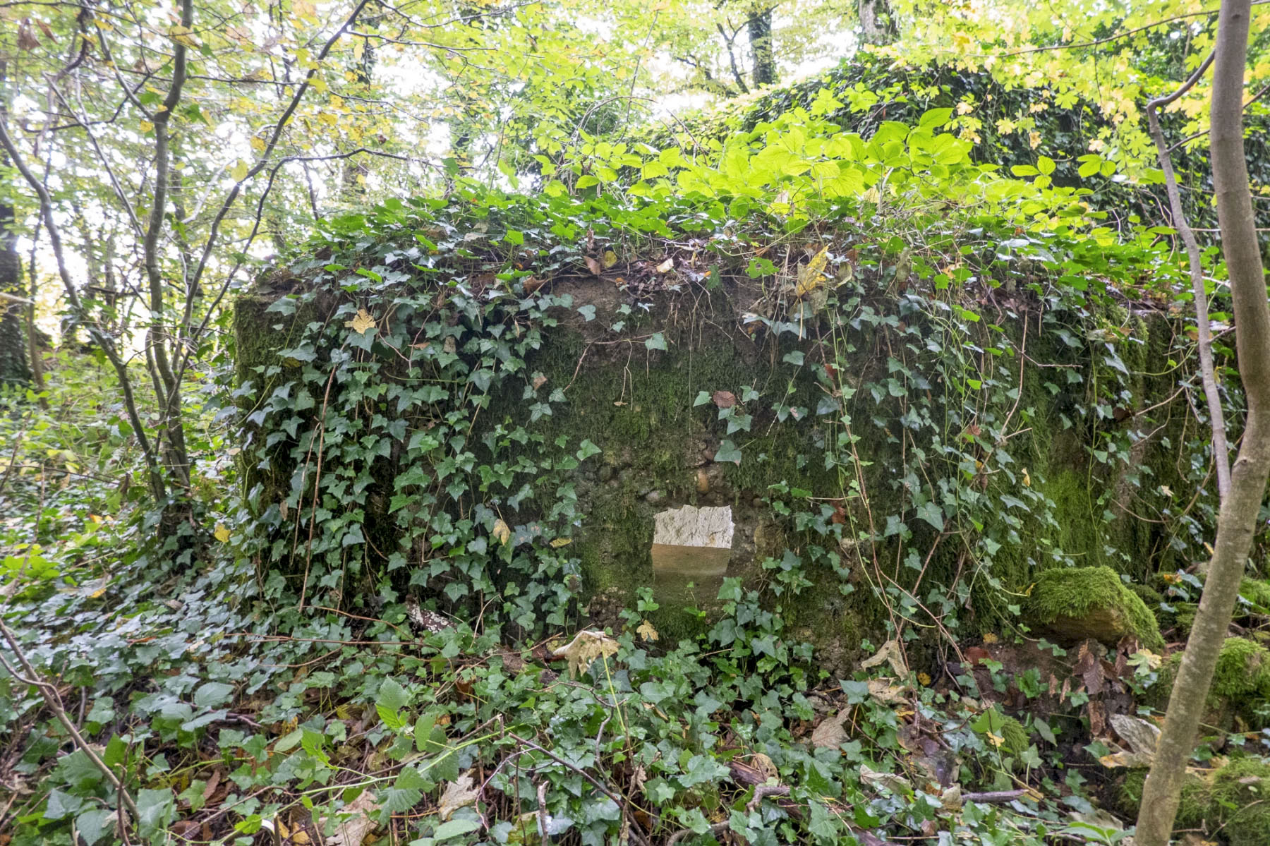 Ligne Maginot - DB329 - BOIS DE LA HEURETTE EST - (Blockhaus pour canon) - Annexe