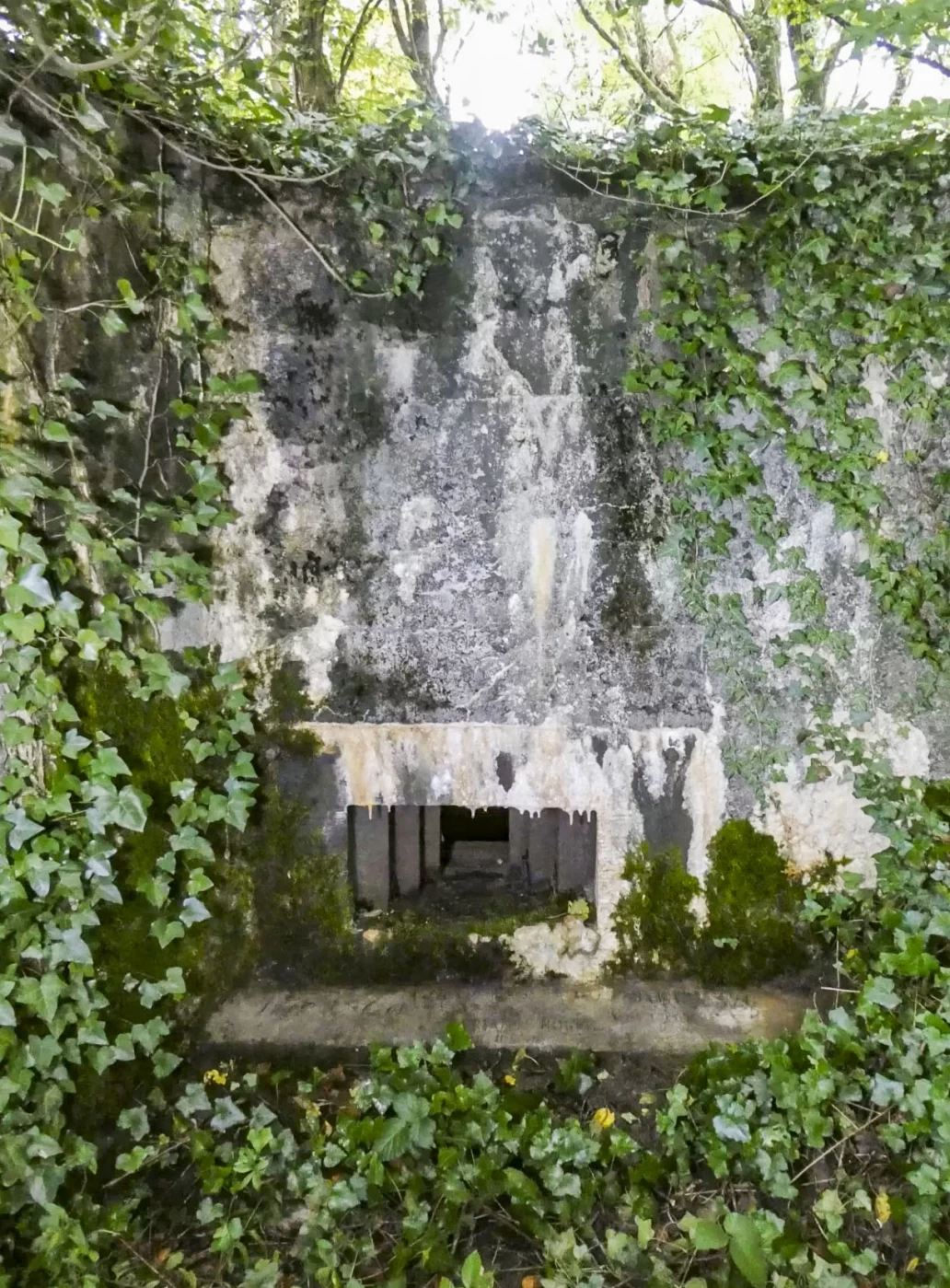 Ligne Maginot - DB316 - BOIS DE BEUVEILLE OUEST 1 - (Blockhaus pour arme infanterie) - Le créneau mitrailleuse