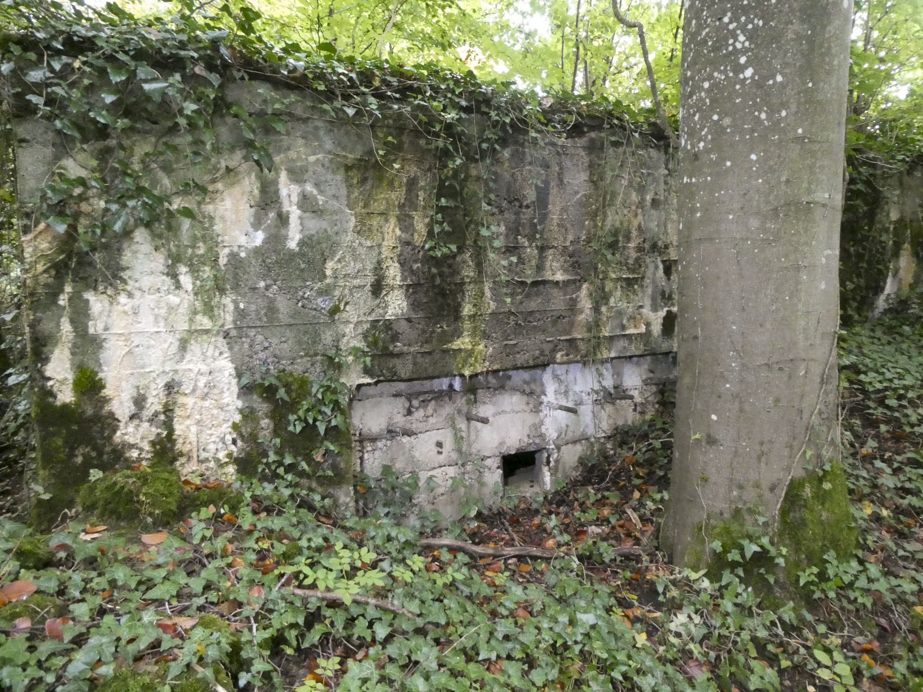 Ligne Maginot - DB316 - BOIS DE BEUVEILLE OUEST 1 - (Blockhaus pour arme infanterie) - L'autre créneau