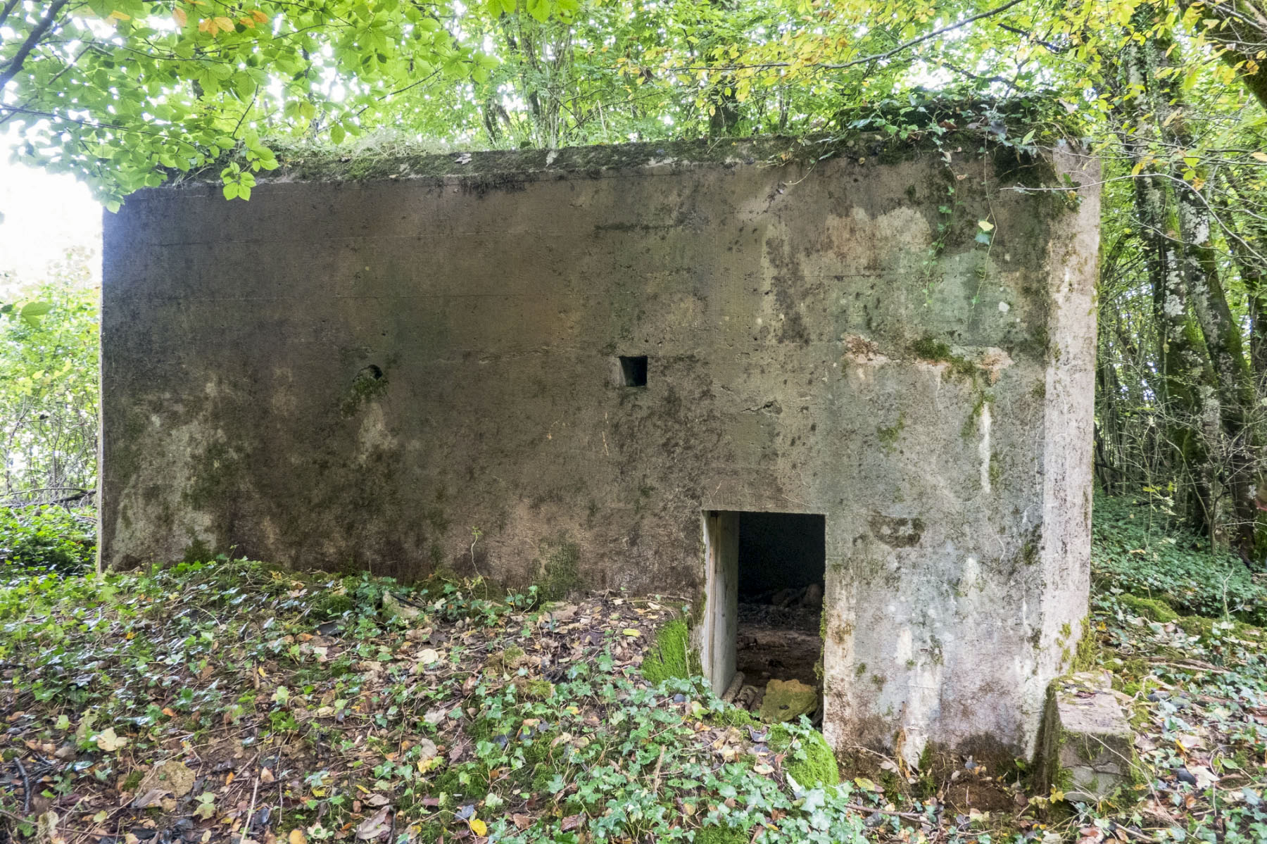 Ligne Maginot - DB318 - BOIS DE BEUVEILLE NORD OUEST - (Blockhaus pour canon) - L'entrée du personnel