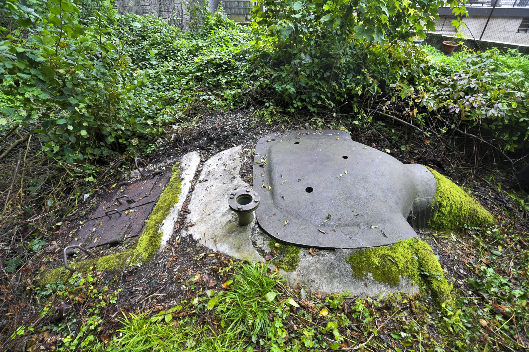 Ligne Maginot - BOIS DES SERGENTS - PAMART - (Blockhaus pour arme infanterie) - 