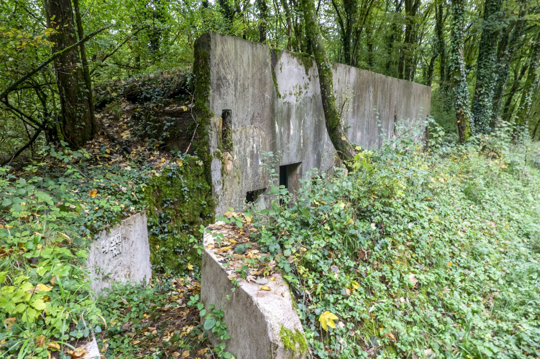 Ligne Maginot - BOIS DE BEUVEILLE 1 - (PC) - Noter le cartouche du I/201e RI sur le boyau d'accès 