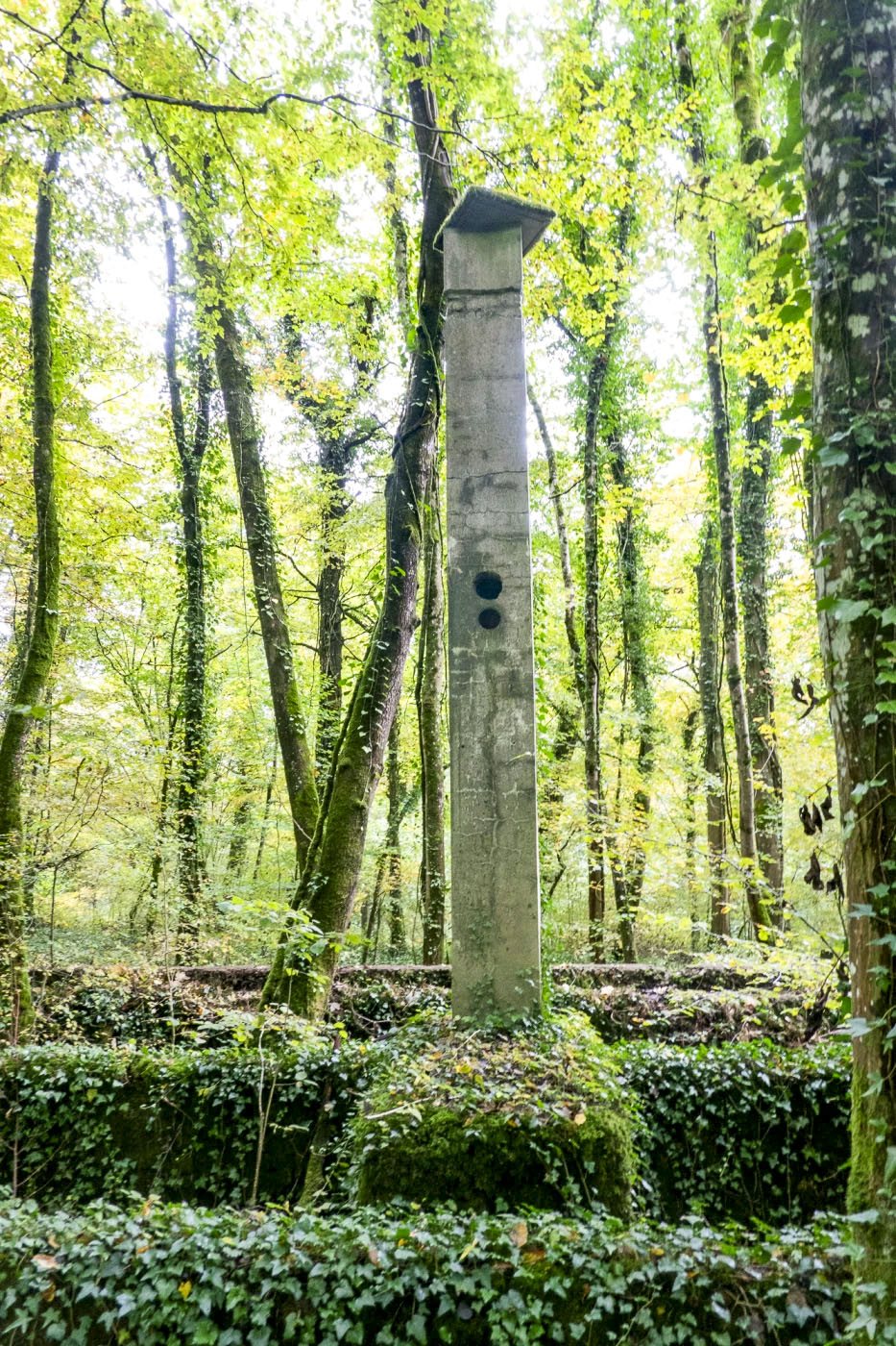 Ligne Maginot - BOIS DE BEUVEILLE - (Casernement) - Ruines du casernement