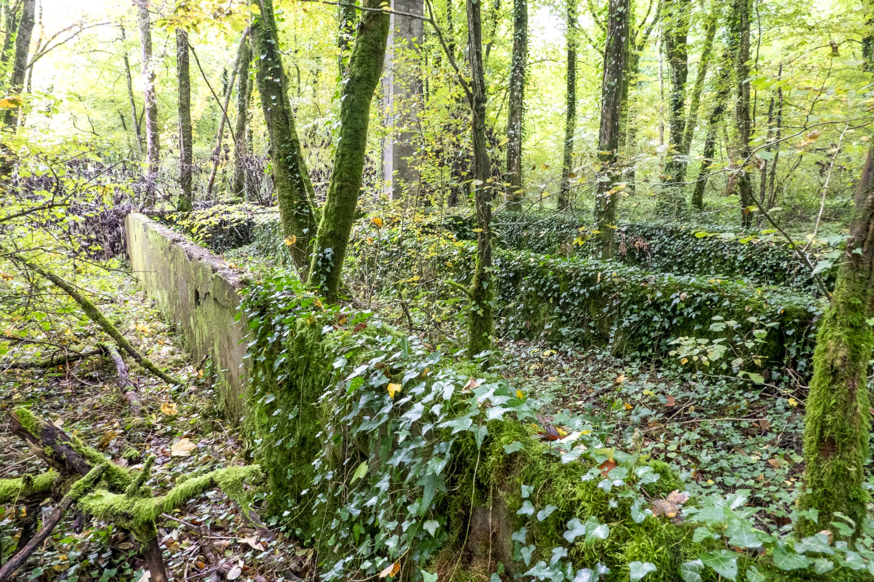 Ligne Maginot - BOIS DE BEUVEILLE - (Casernement) - Ruines du casernement