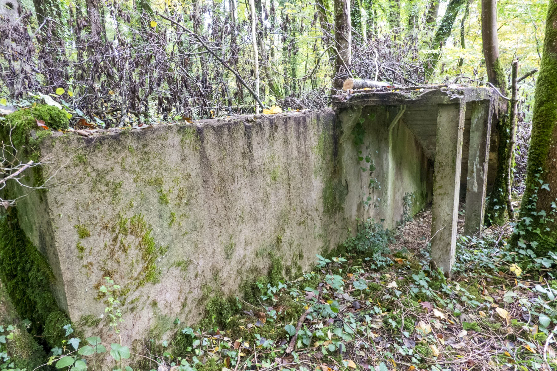 Ligne Maginot - BOIS DE BEUVEILLE - (Casernement) - Ruines du casernement