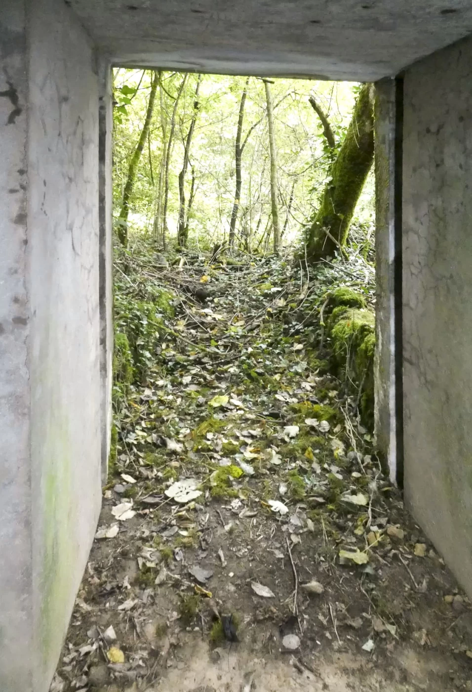 Ligne Maginot - DB318 - BOIS DE BEUVEILLE NORD OUEST - (Blockhaus pour canon) - L'entrée matériel 