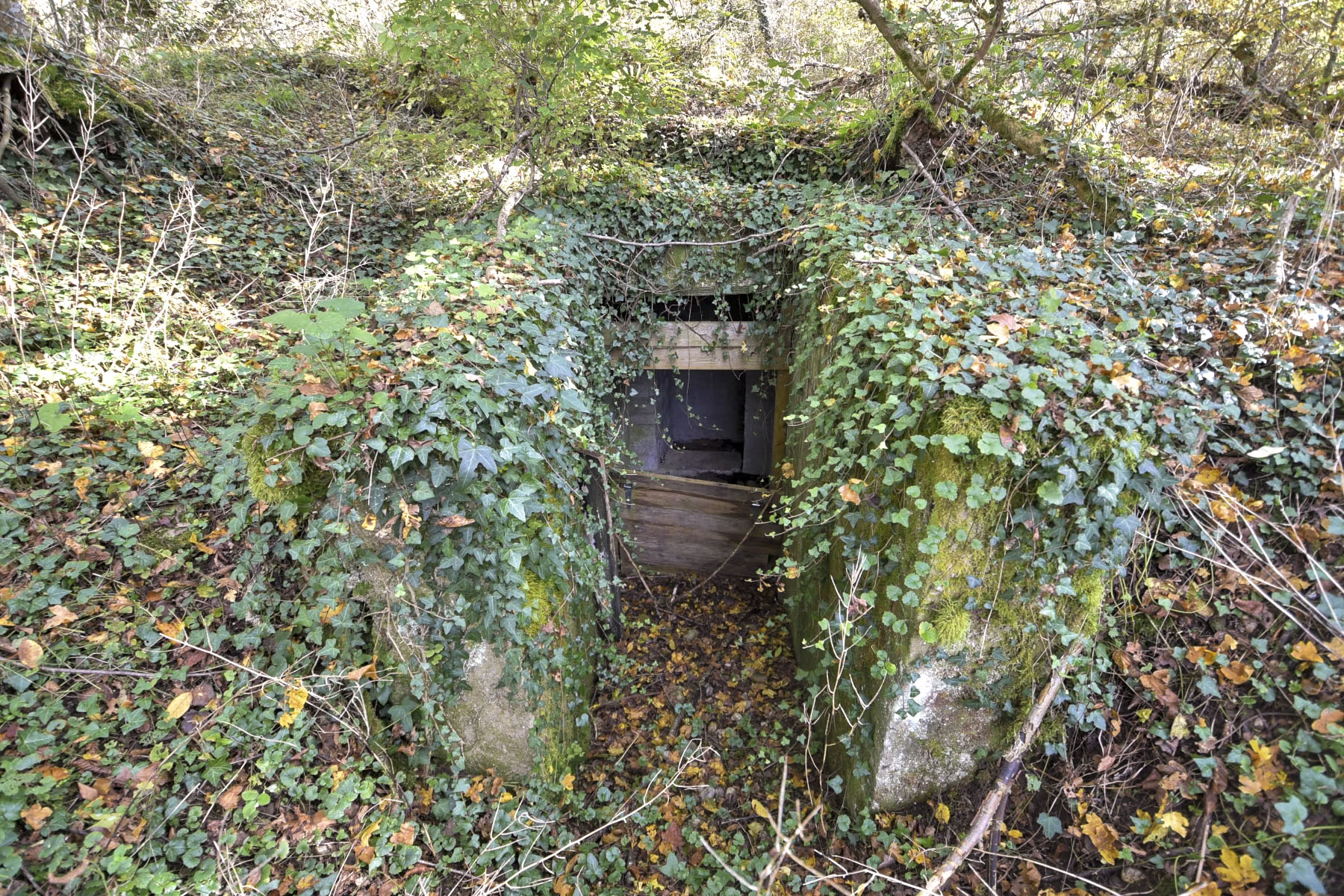 Ligne Maginot - RADBRUNNEN 6 - (PC) - Entrée Sud