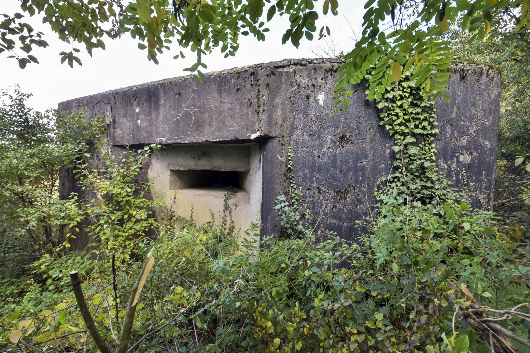 Ligne Maginot - ECLUSE 52 NORD - (Blockhaus pour canon) - 