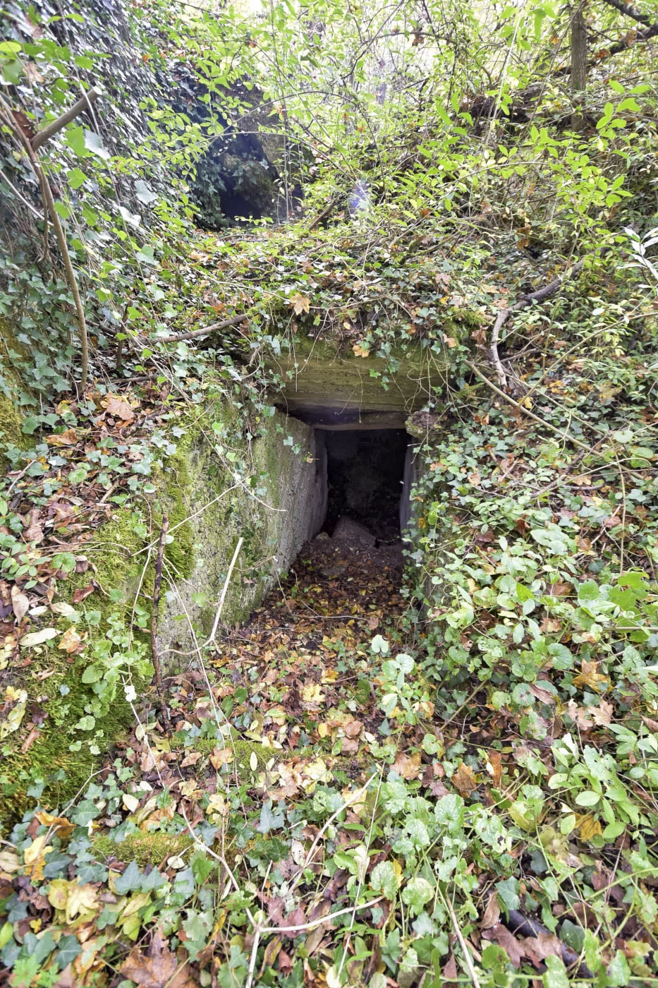 Ligne Maginot - RADBRUNNEN 2 - (Blockhaus pour canon) - Entrée nord, avec son escalier