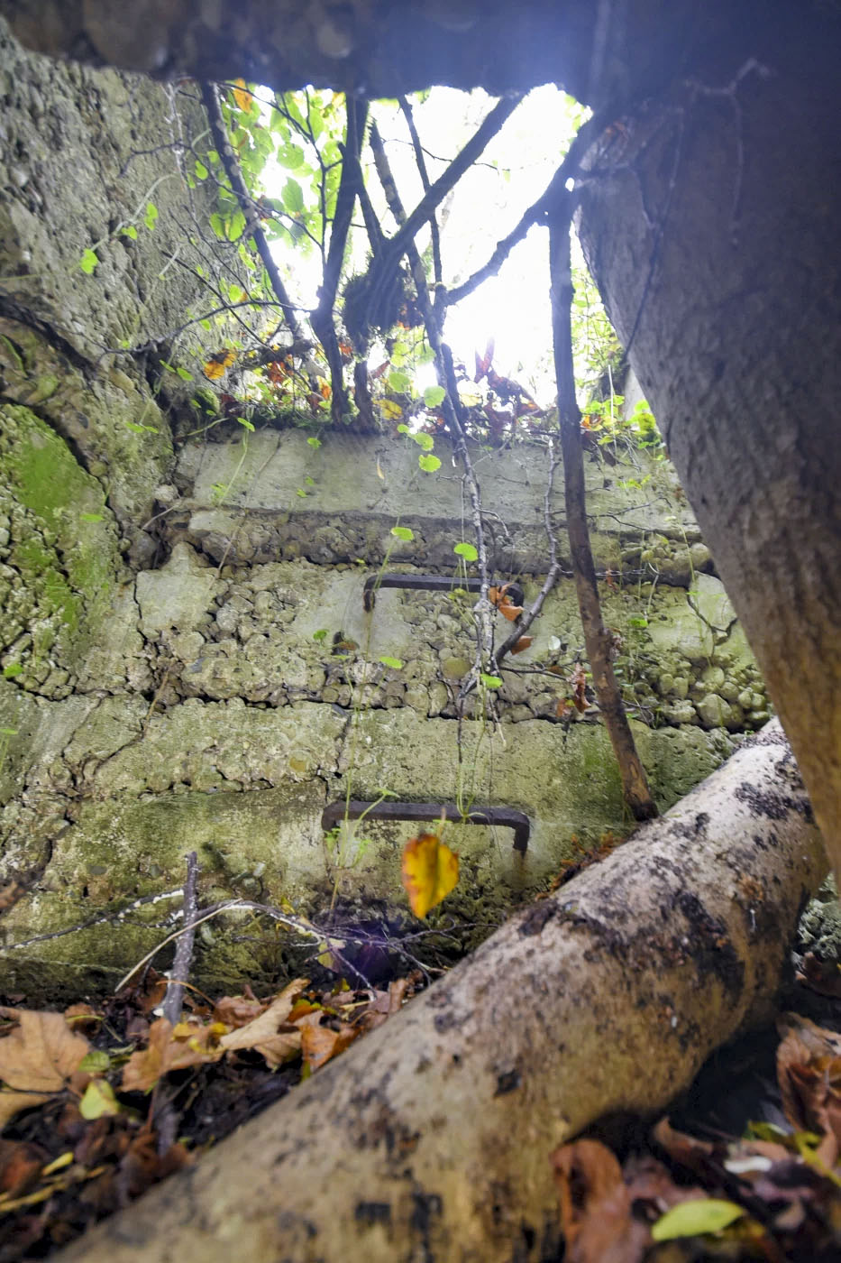 Ligne Maginot - RADBRUNNEN 2 - (Blockhaus pour canon) - Entrée sud, le puits.