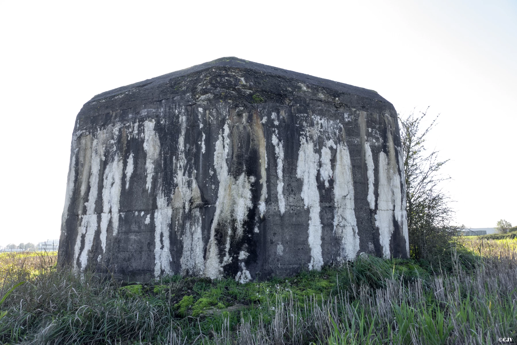 Ligne Maginot - BEF 215 - DRONKAERT SUD 1 - (Blockhaus pour arme infanterie) - 