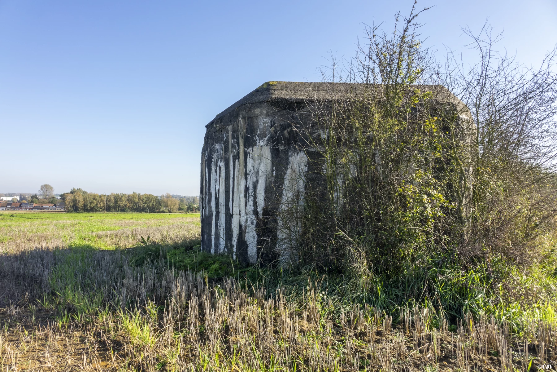 Ligne Maginot - BEF 215 - DRONKAERT SUD 1 - (Blockhaus pour arme infanterie) - 