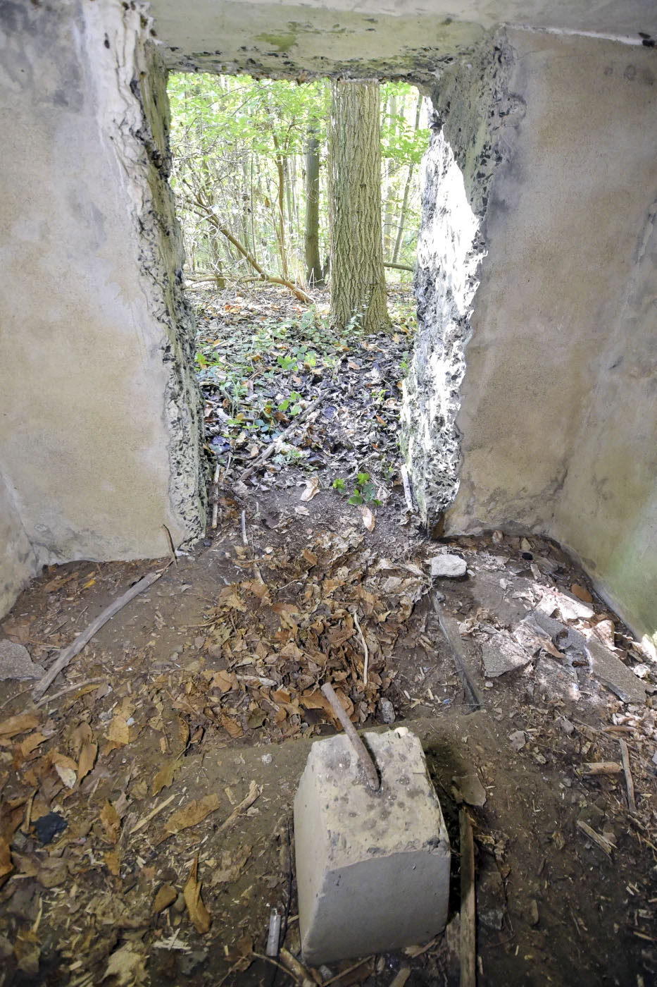 Ligne Maginot - B383 - TRINQUETTE (PDS) - (Abri actif) - Le passage actuel n'est pas d'origine.
L'entrée d'origine, vue au sol, est obstrué