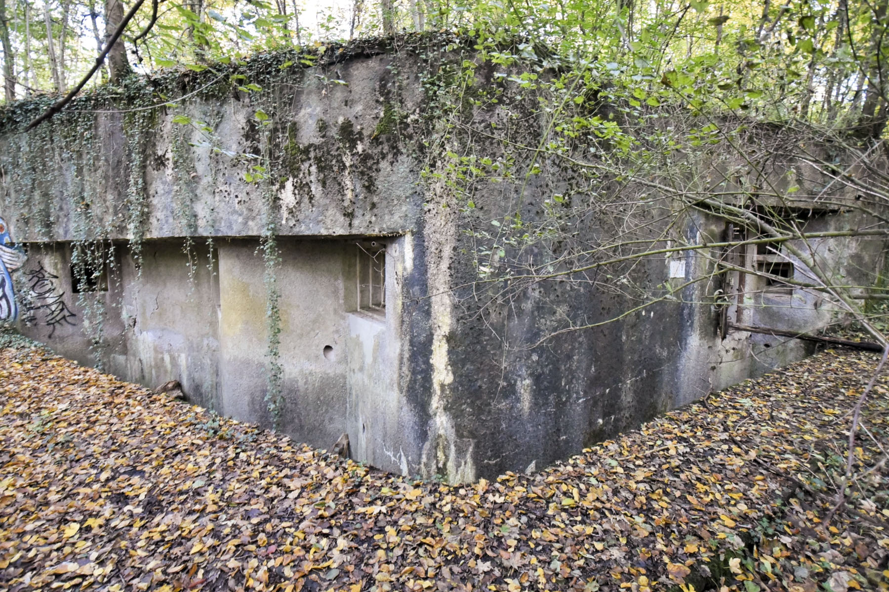 Ligne Maginot - C23 - VIVIER NUTHIAU OUEST - (Casemate d'infanterie - Simple) - 