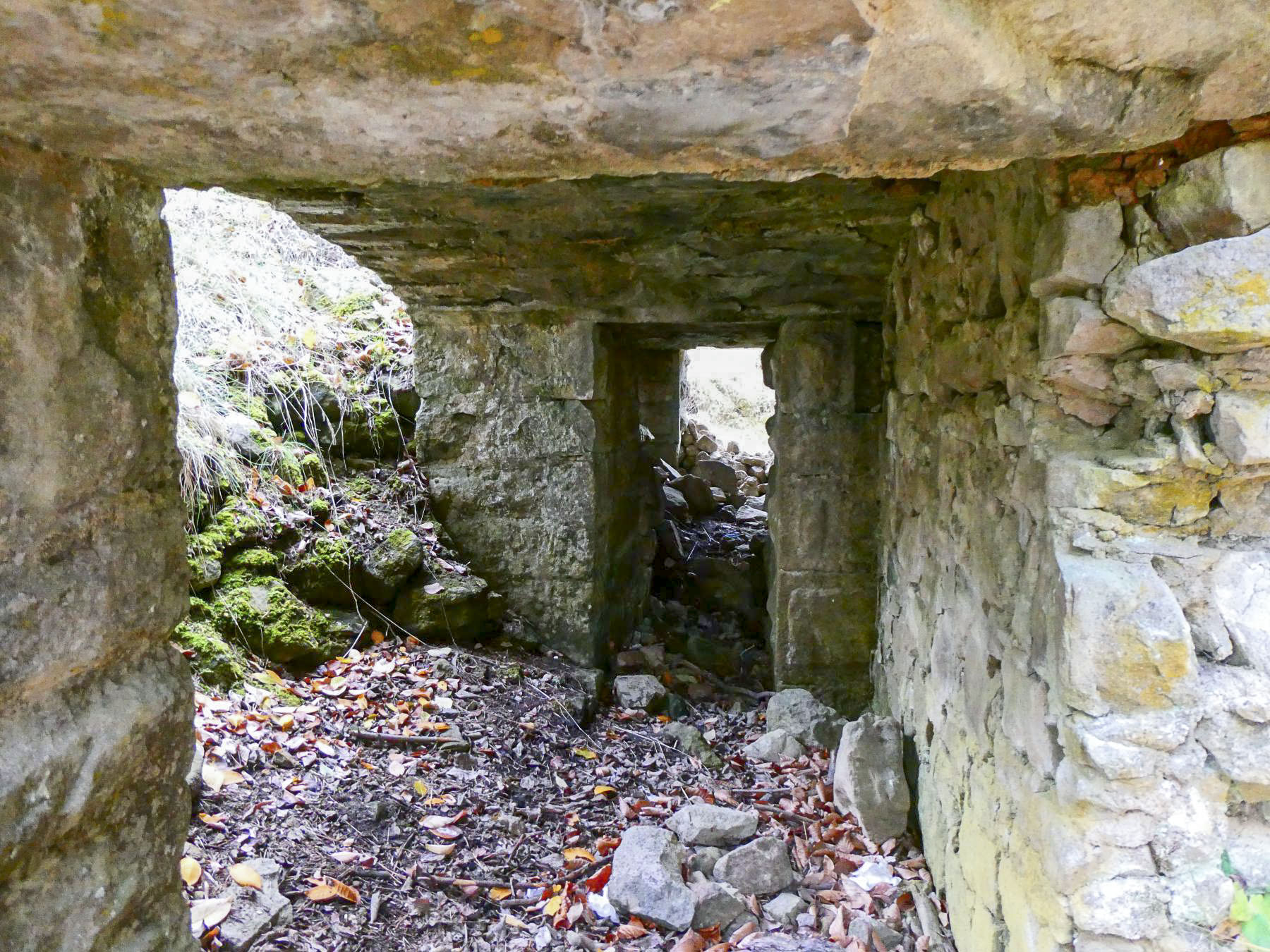 Ligne Maginot - BAISSE DE CABANETTE - (Stand de tir) - L'ancien abri ou local situé derrière la butte