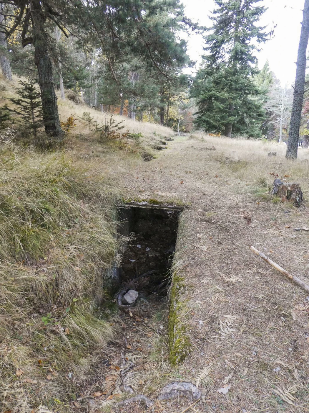 Ligne Maginot - BAISSE DE CABANETTE - (Stand de tir) - La tranchée couverte pour les cibles, devant la butte