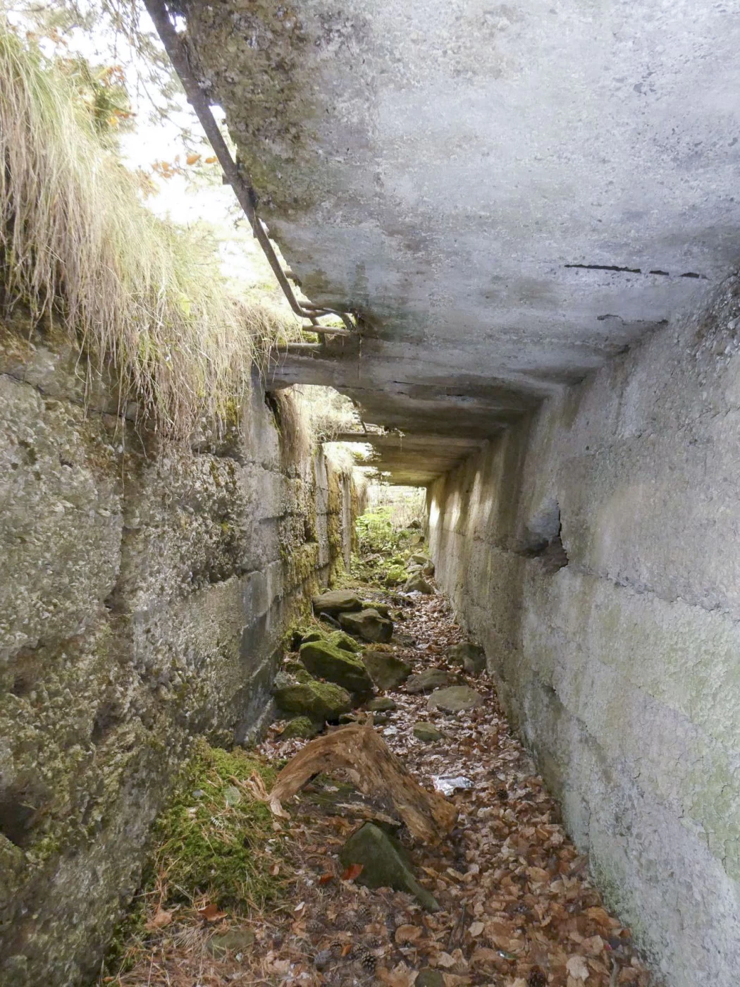 Ligne Maginot - BAISSE DE CABANETTE - (Stand de tir) - La tranchée couverte pour les cibles, devant la butte