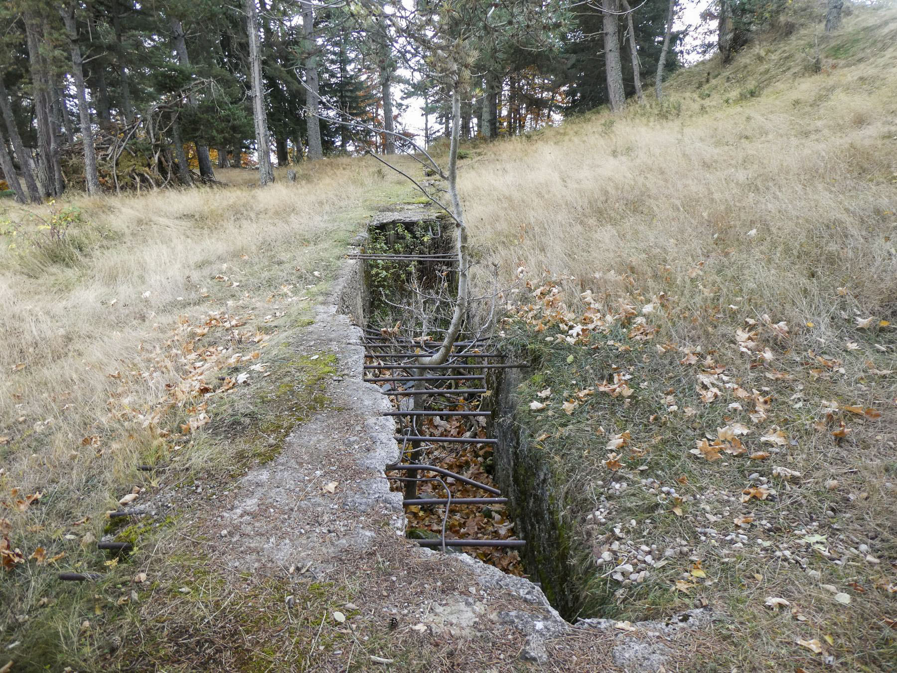 Ligne Maginot - BAISSE DE CABANETTE - (Stand de tir) - La tranchée couverte pour les cibles, devant la butte