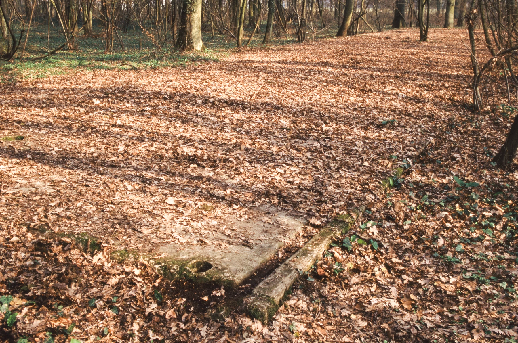 Ligne Maginot - 151° RAP - 1° STH - (Casernement) - Reste de la dalle du batiment