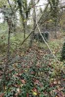 Ligne Maginot - HALLINGER - (Blockhaus pour arme infanterie) - Des restes de mur.