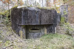 Ligne Maginot - GRAFENWEIHER 1 - (Blockhaus pour arme infanterie) - Créneau ouest