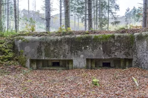 Ligne Maginot - ERBSENTHAL 1 - (Blockhaus pour arme infanterie) - Les deux créneaux pour mitrailleuses