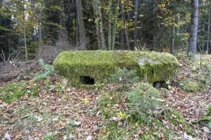 Ligne Maginot - NEUNHOFFEN NORD OUEST 2 - (Blockhaus pour arme infanterie) - Vue extérieure