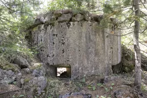 Ligne Maginot - CHALETS DU VALLON 2 - (Blockhaus pour arme infanterie) - Les créneaux
