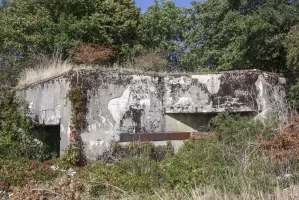 Ligne Maginot - FERME THIERY - C20 - (Casemate d'infanterie - Simple) - Vue d'ensemble