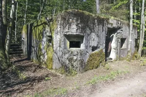 Ligne Maginot - LUTZELHARDT - (Poste GRM - Maison Forte) - Vue depuis le coté ennemi