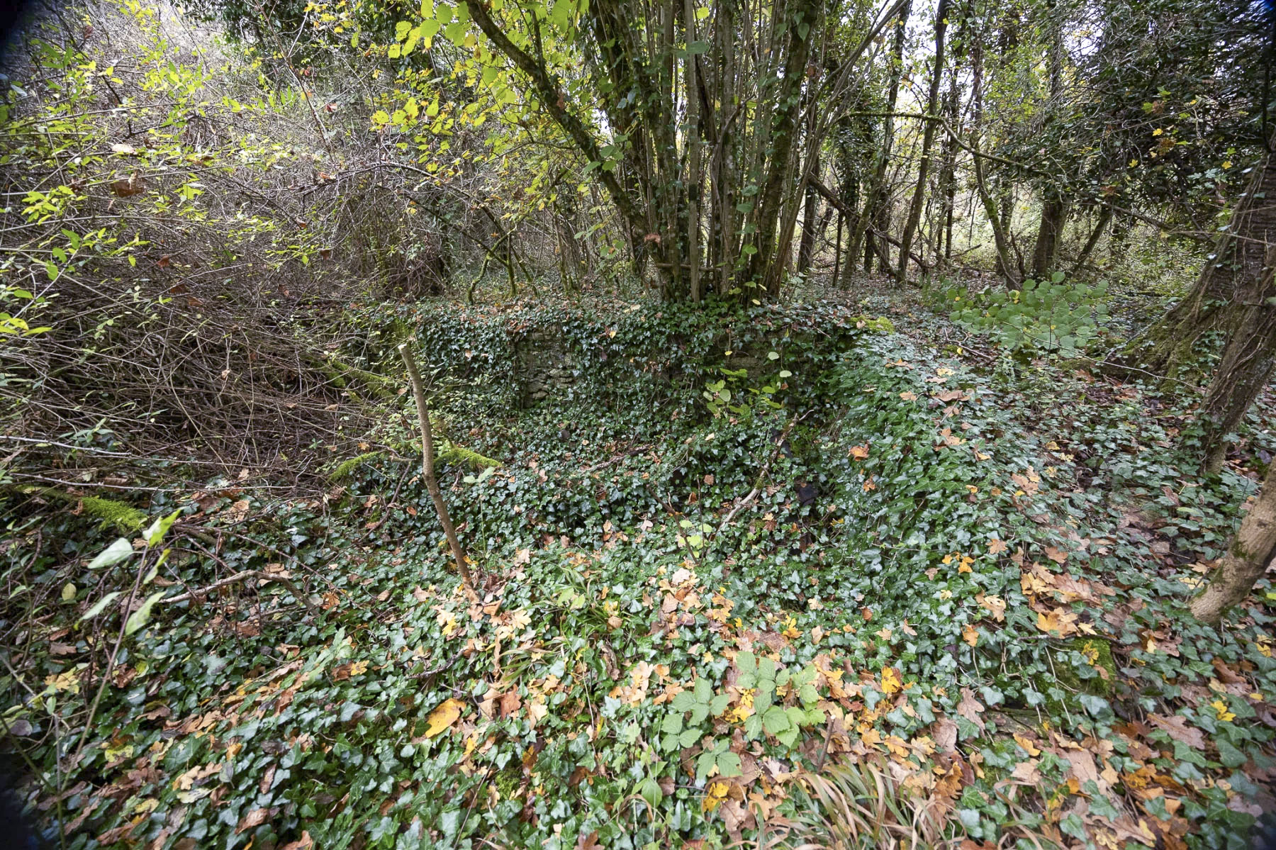 Ligne Maginot - HALLINGER - (Blockhaus pour arme infanterie) - Des restes de mur.