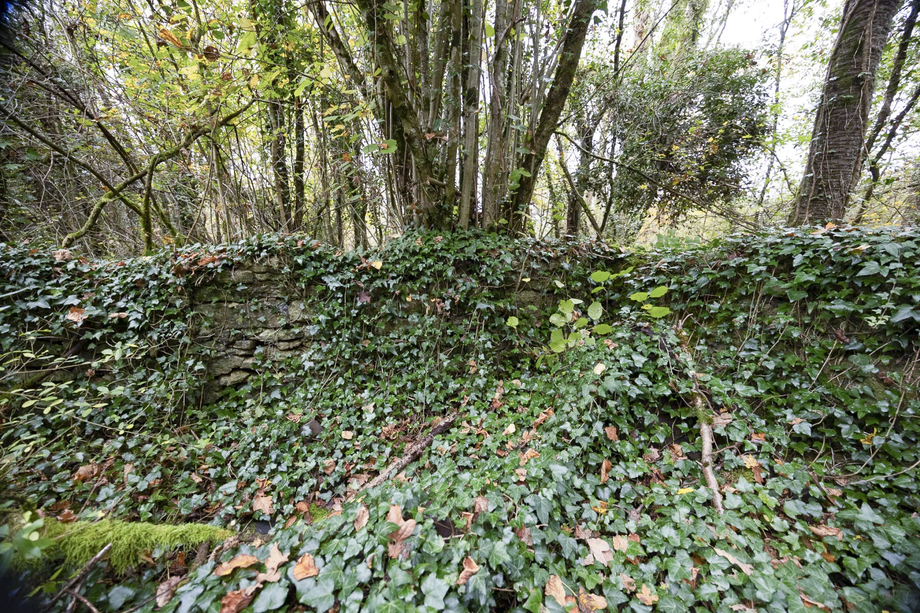 Ligne Maginot - HALLINGER - (Blockhaus pour arme infanterie) - Des restes de mur.