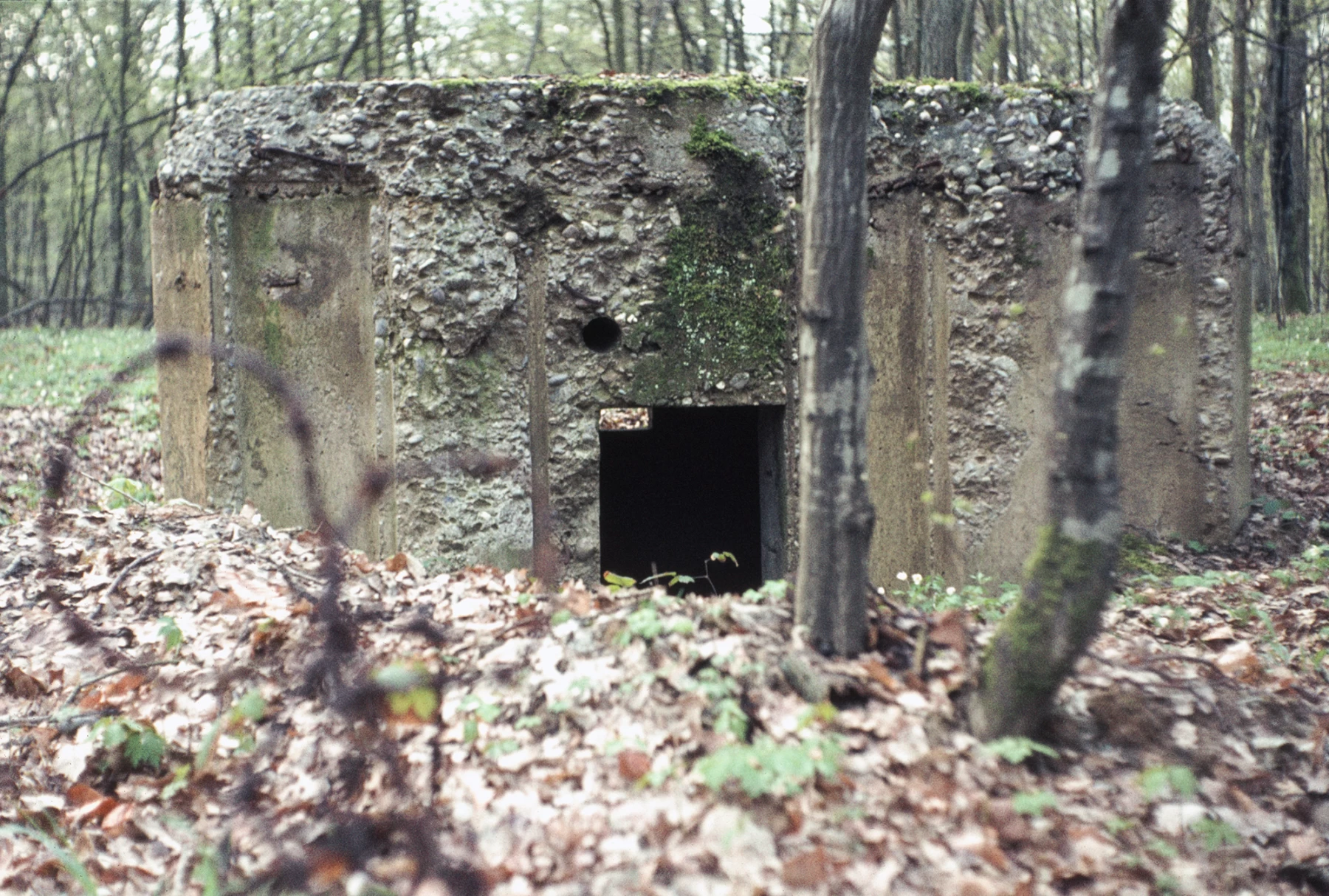 Ligne Maginot - UBERNIED 2 - (Blockhaus pour arme infanterie) - L'entrée