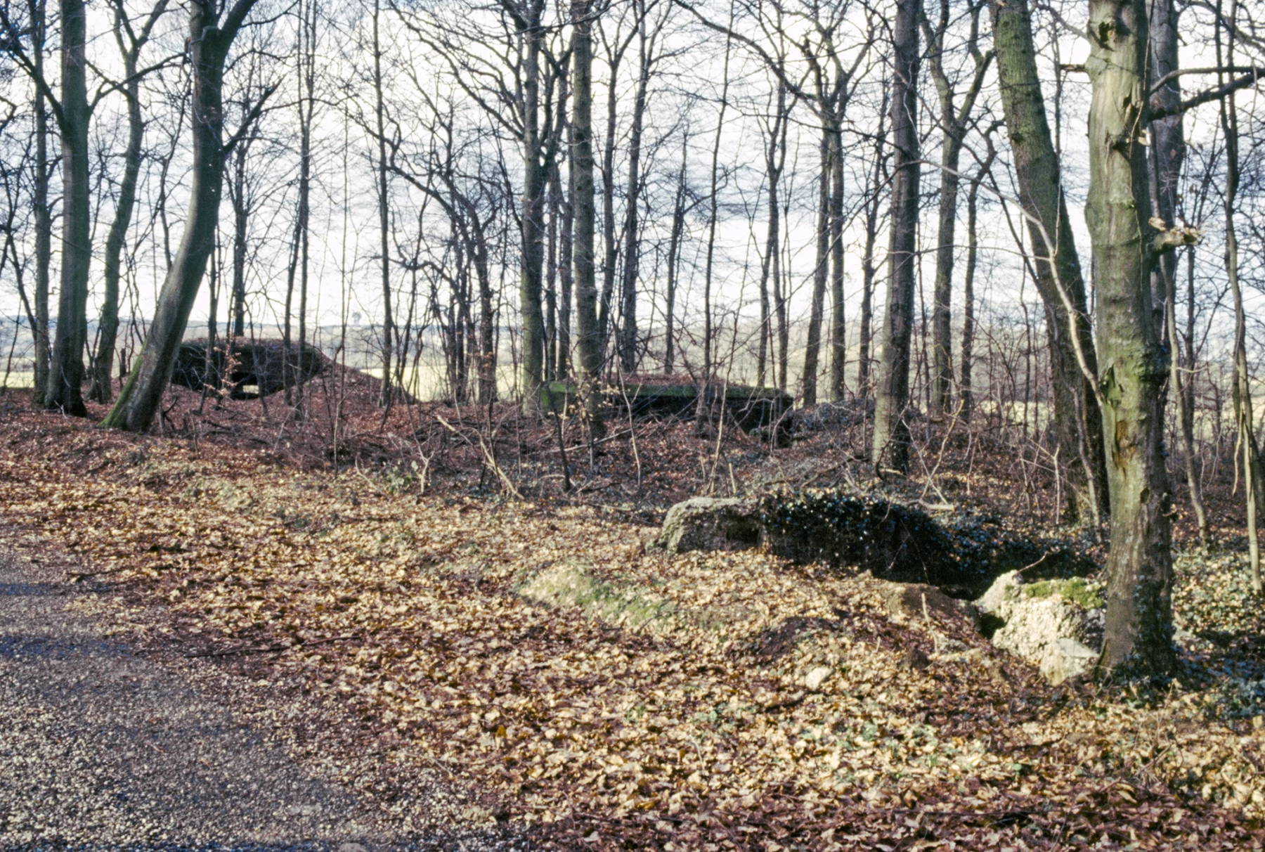 Ligne Maginot - UBERNIED 8 - (Blockhaus pour canon) - Les blockhaus sont proches les uns des autres