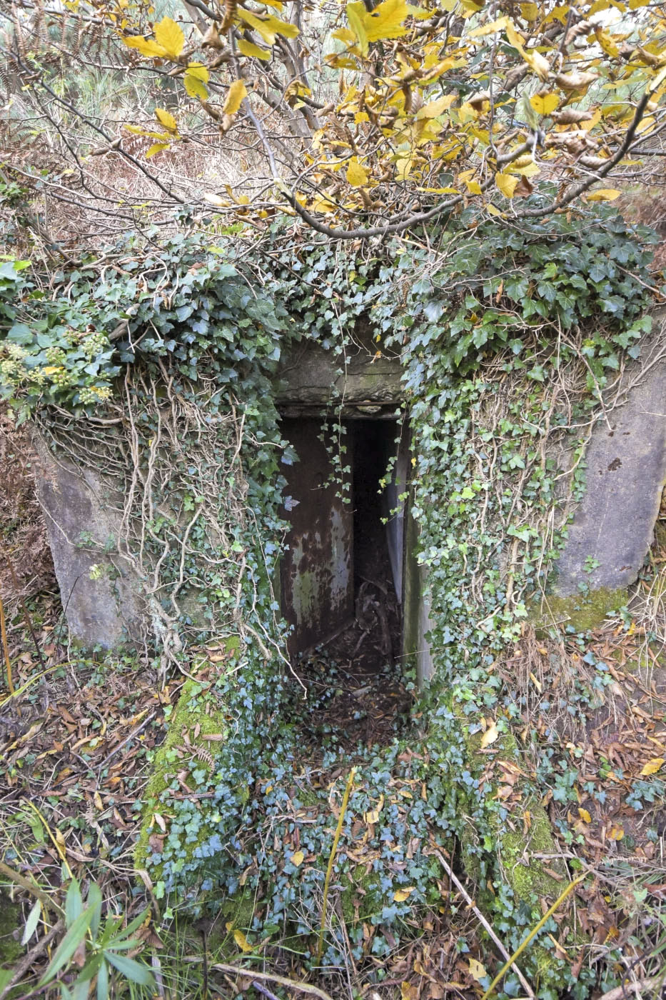 Ligne Maginot - MITTELWEG 2 - (Blockhaus pour arme infanterie) - 