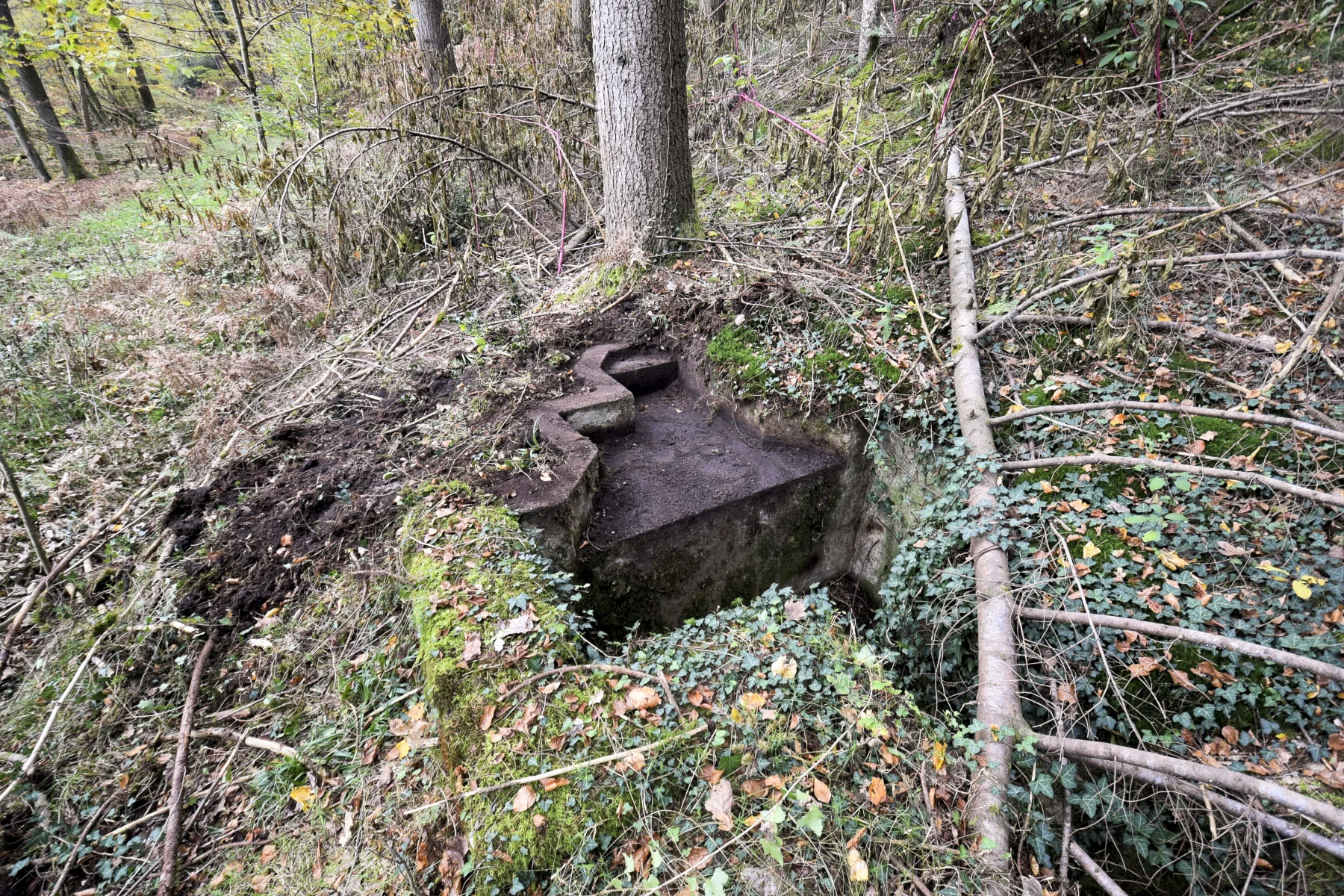 Ligne Maginot - SOUFFLENHEIM EST 1 - (Cuve pour arme d'infanterie) - La cuve qui est orientée vers le sud