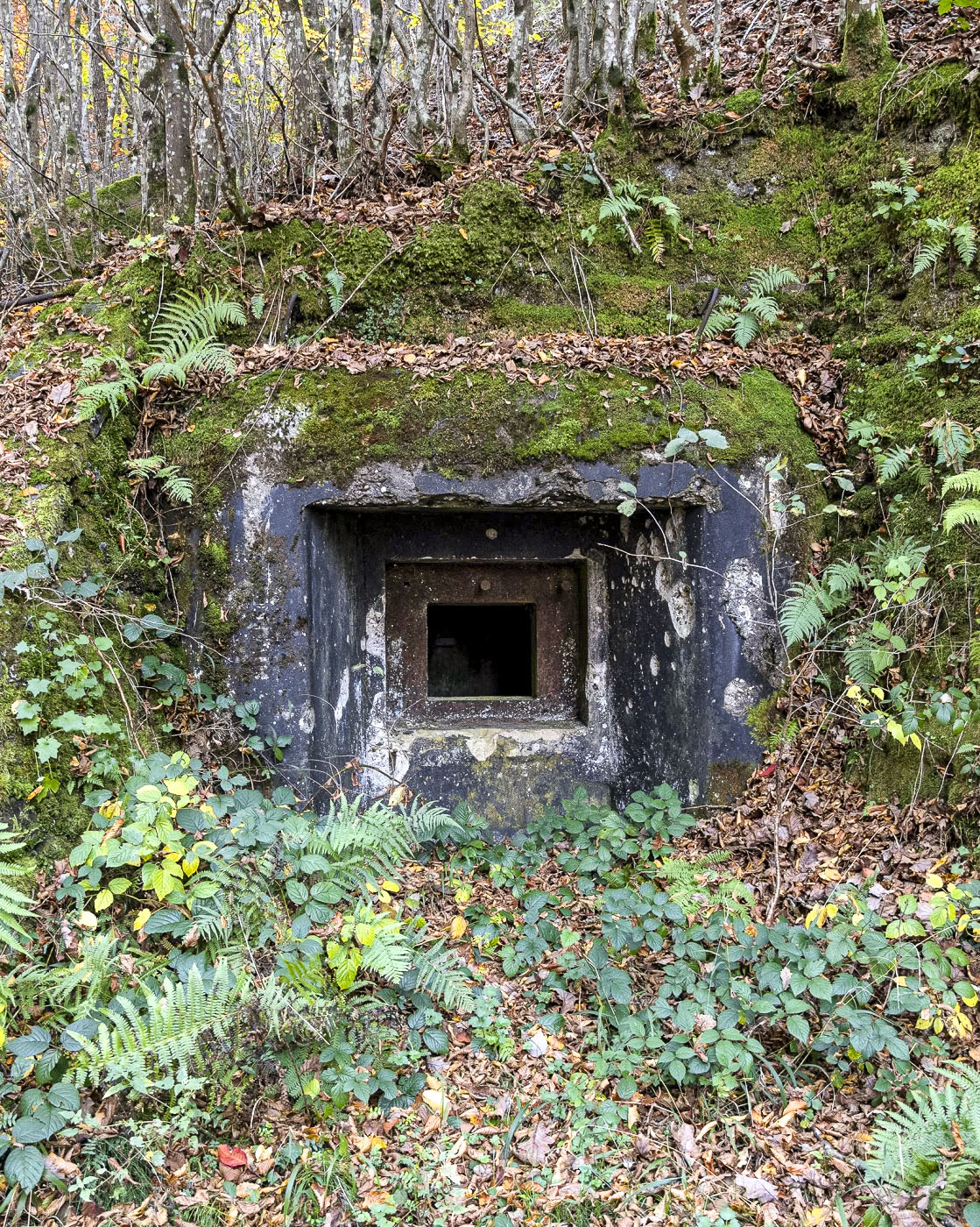 Ligne Maginot - WEIHERSTHAL SUD - (Blockhaus pour canon) - Créneau pour canon antichar