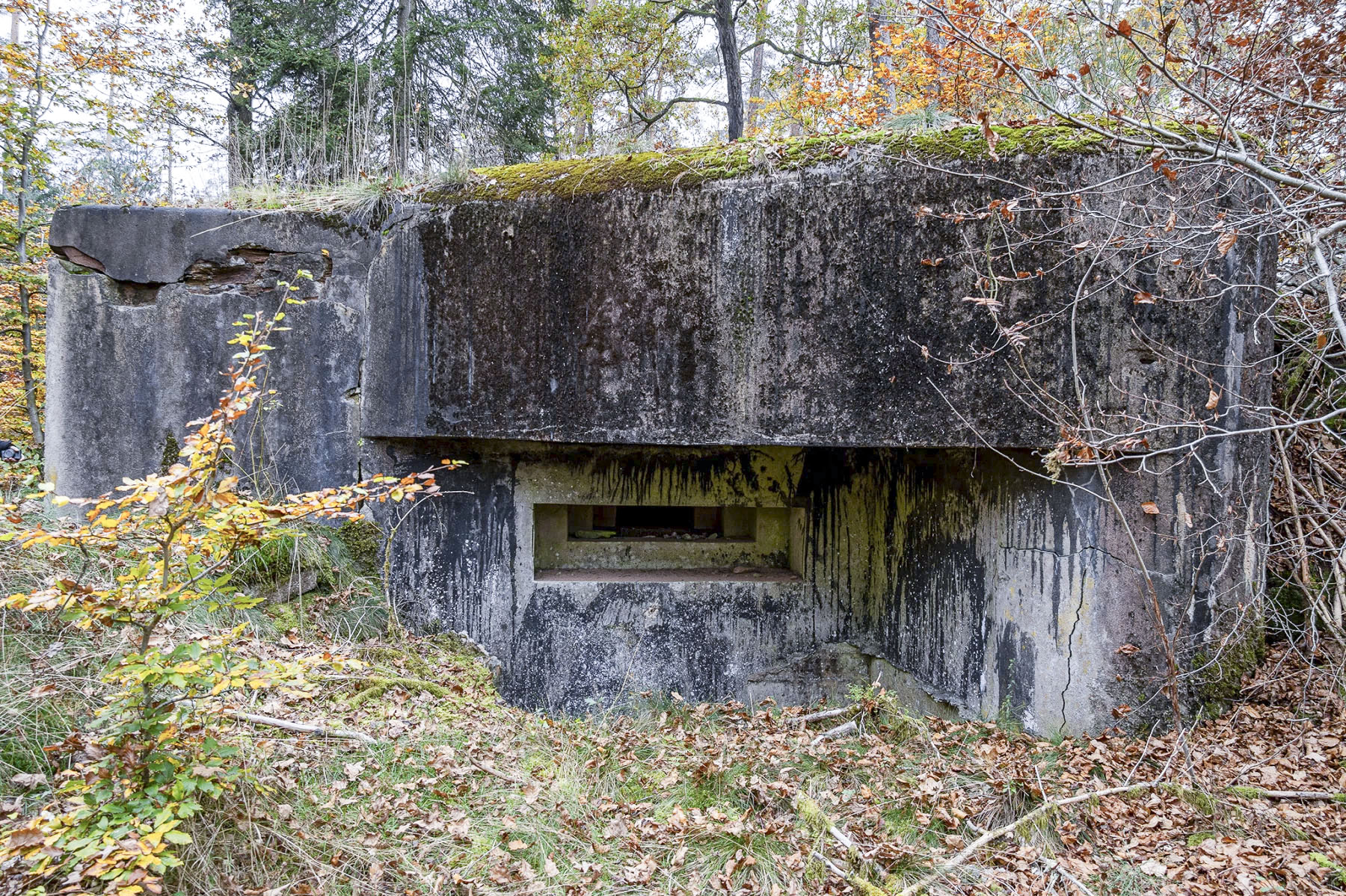 Ligne Maginot - GRAFENWEIHER 1 - (Blockhaus pour arme infanterie) - Créneau est