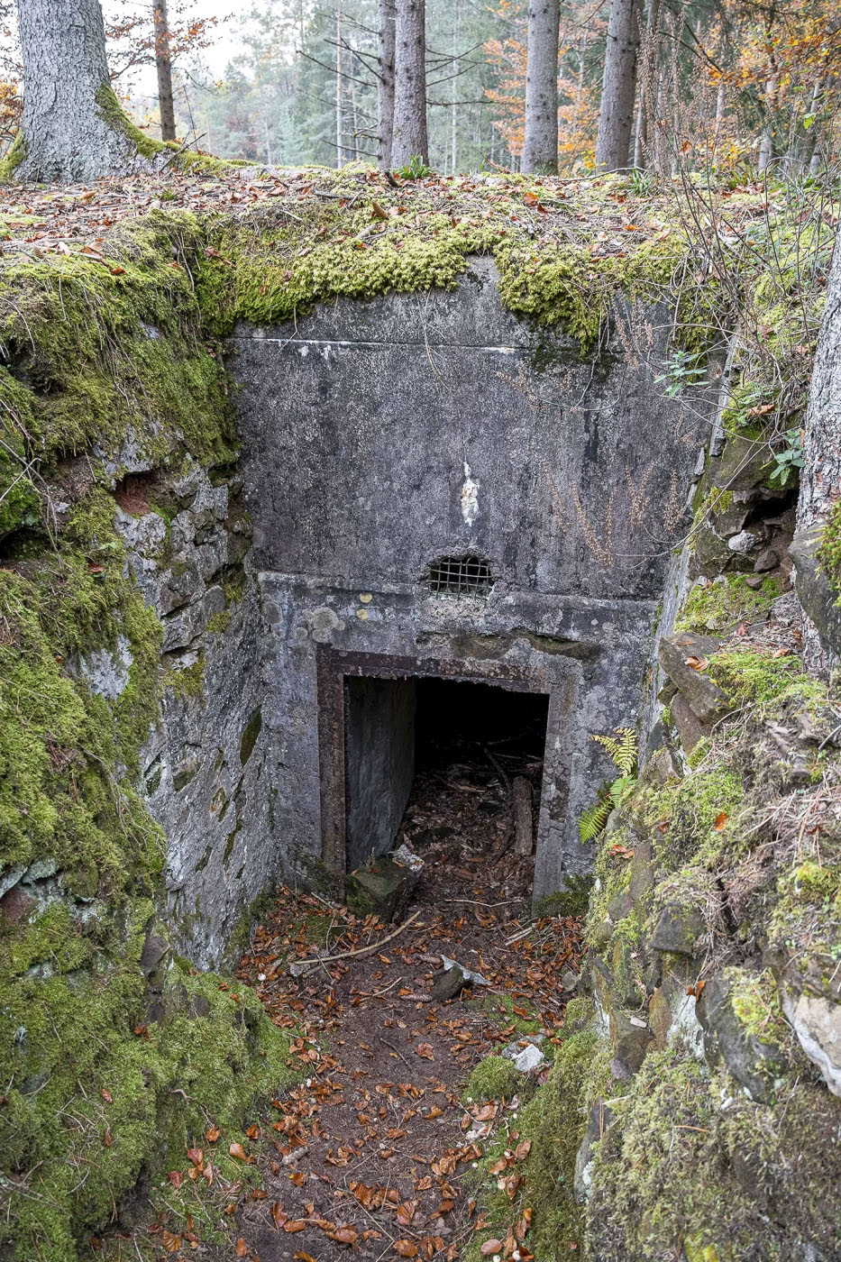 Ligne Maginot - ERBSENTHAL 1 - (Blockhaus pour arme infanterie) - L'entrée desservie par une tranchée