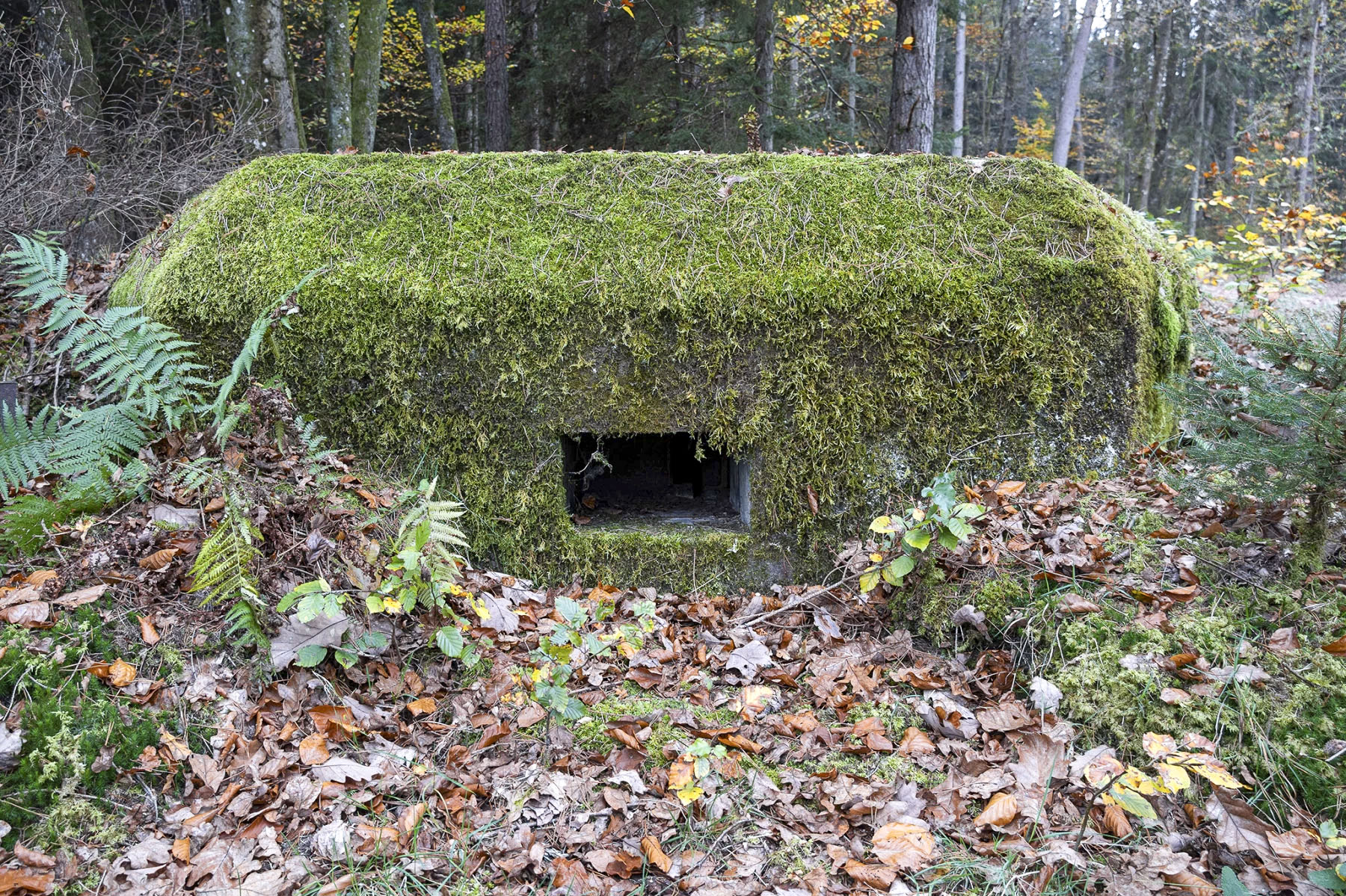 Ligne Maginot - NEUNHOFFEN NORD OUEST 2 - (Blockhaus pour arme infanterie) - Vue extérieure