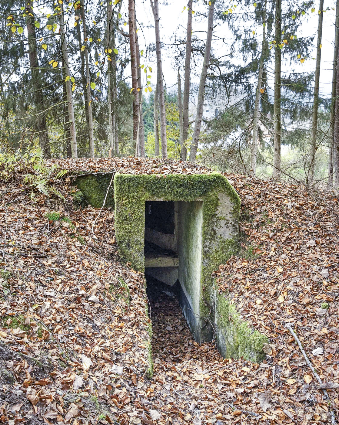 Ligne Maginot - NEUNHOFFEN NORD OUEST 2 - (Blockhaus pour arme infanterie) - Entrée