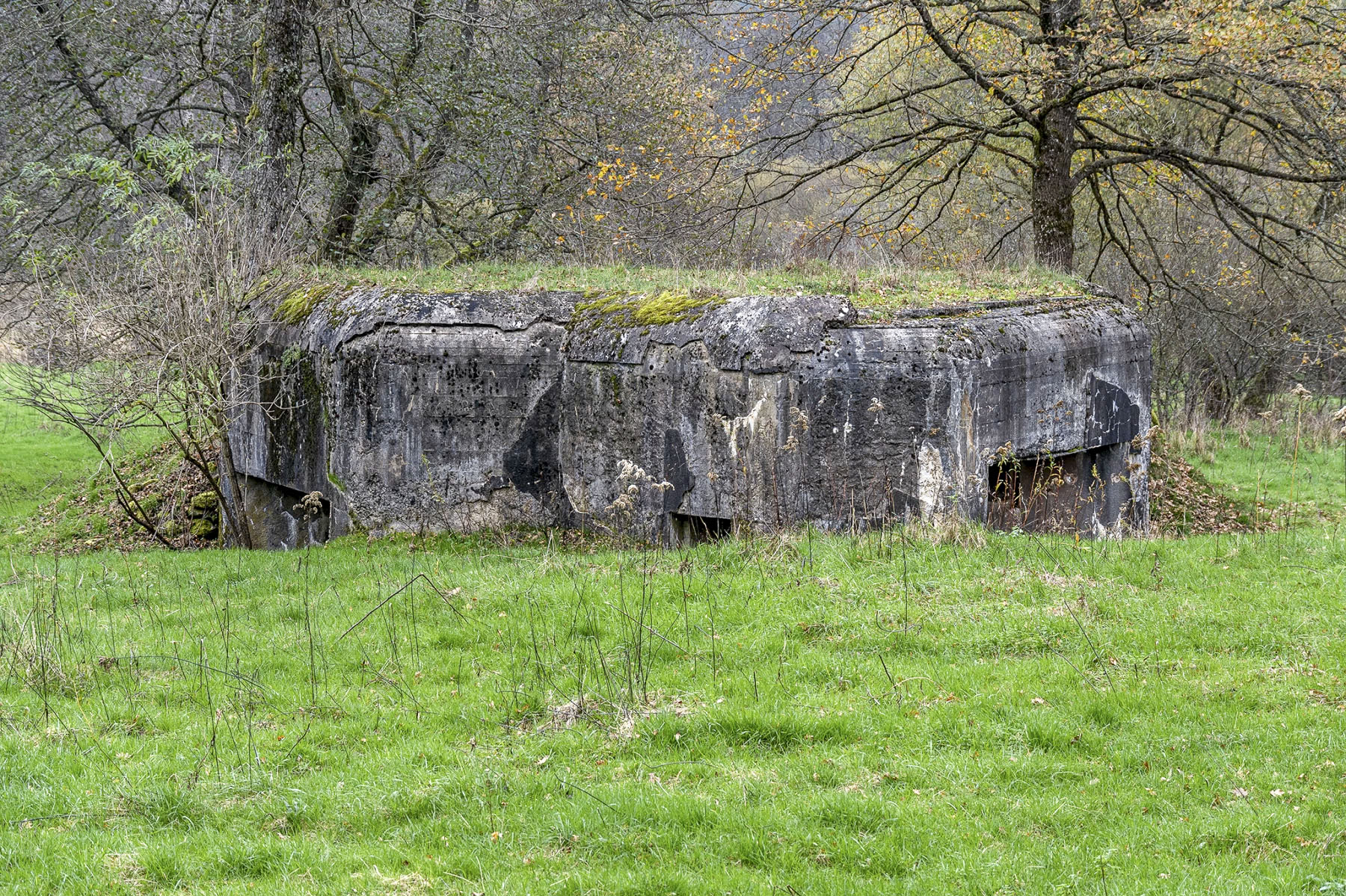 Ligne Maginot - NEUNHOFFEN NORD OUEST 1 - (Casemate d'infanterie - Simple) - Vue extérieure