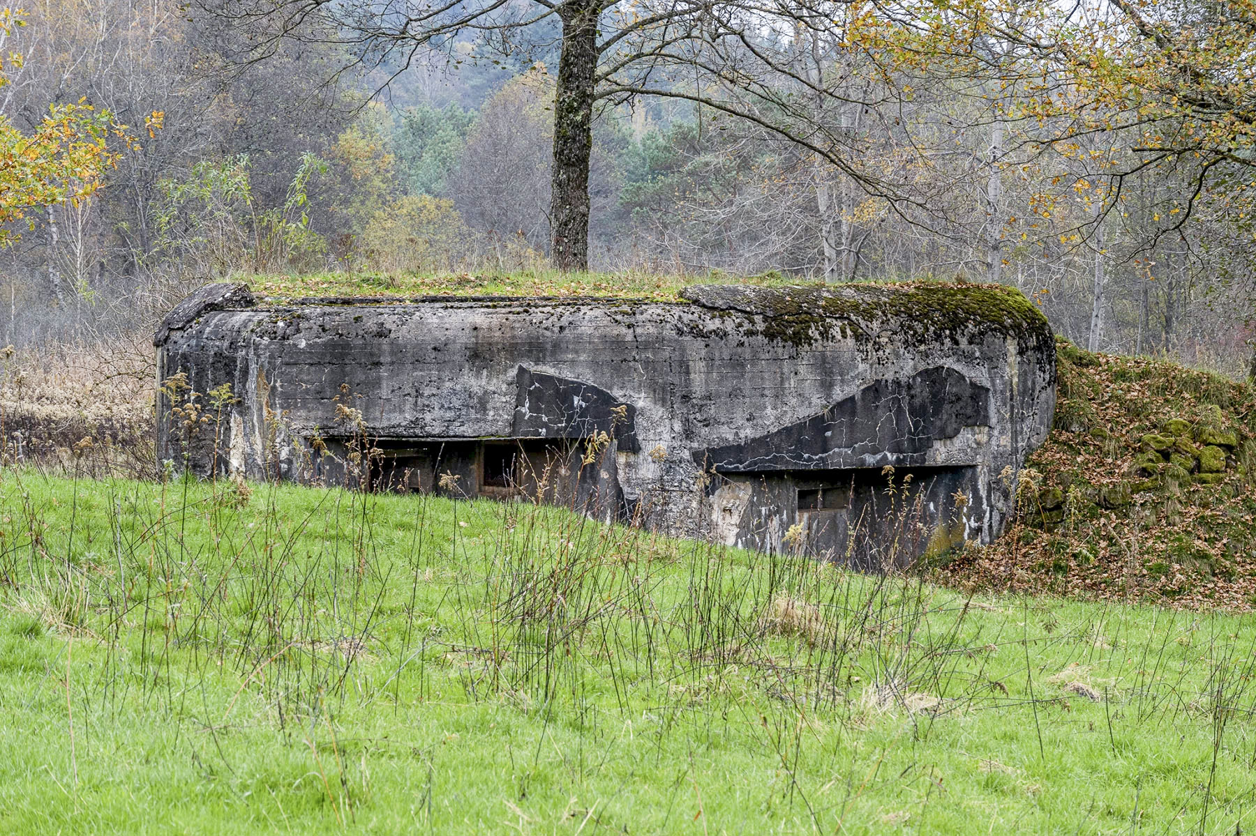 Ligne Maginot - NEUNHOFFEN NORD OUEST 1 - (Casemate d'infanterie - Simple) - Vue extérieure