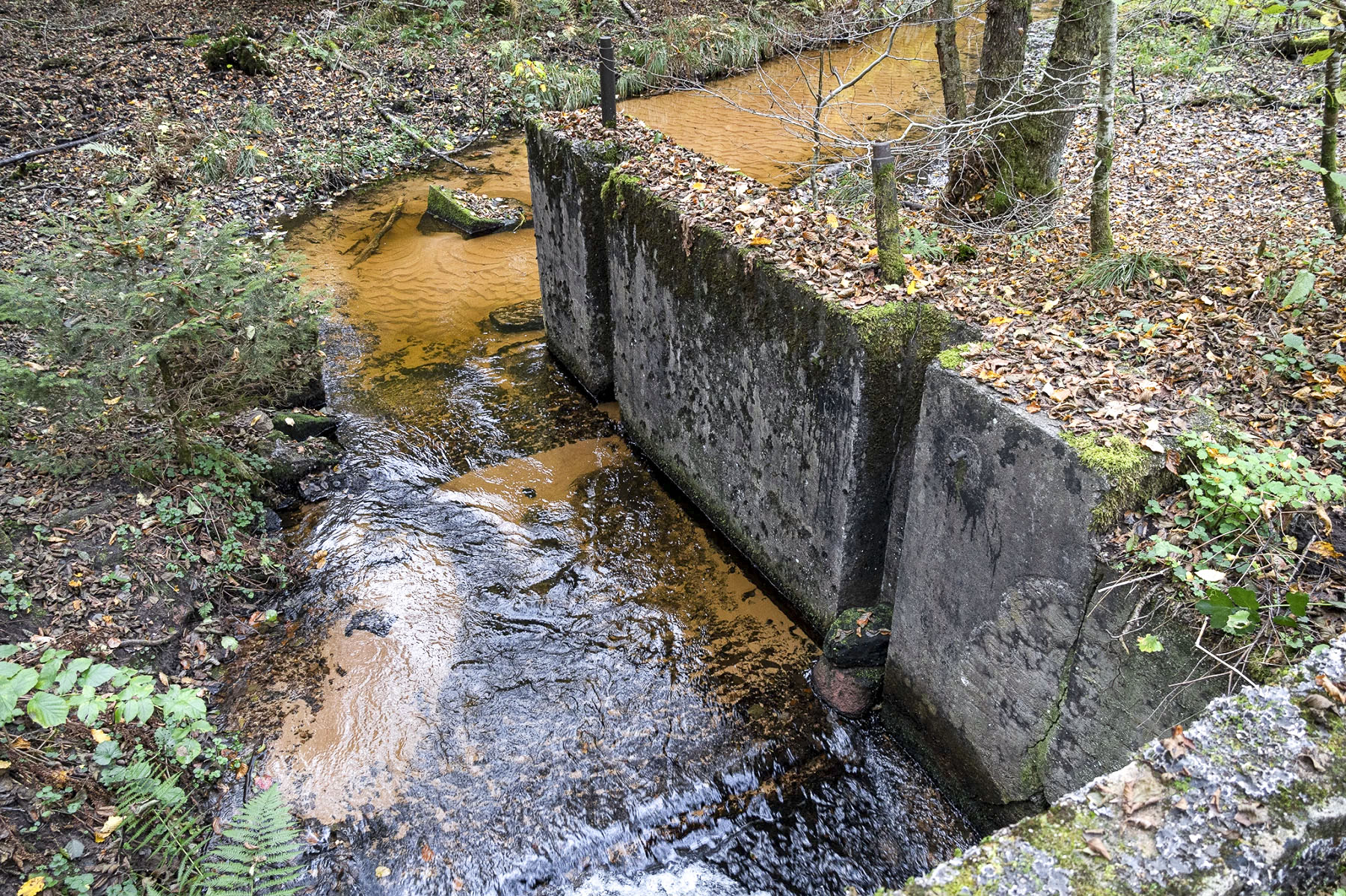 Ligne Maginot - ROTHENBOURG EST (BARRAGE 04) - (Inondation défensive) - 