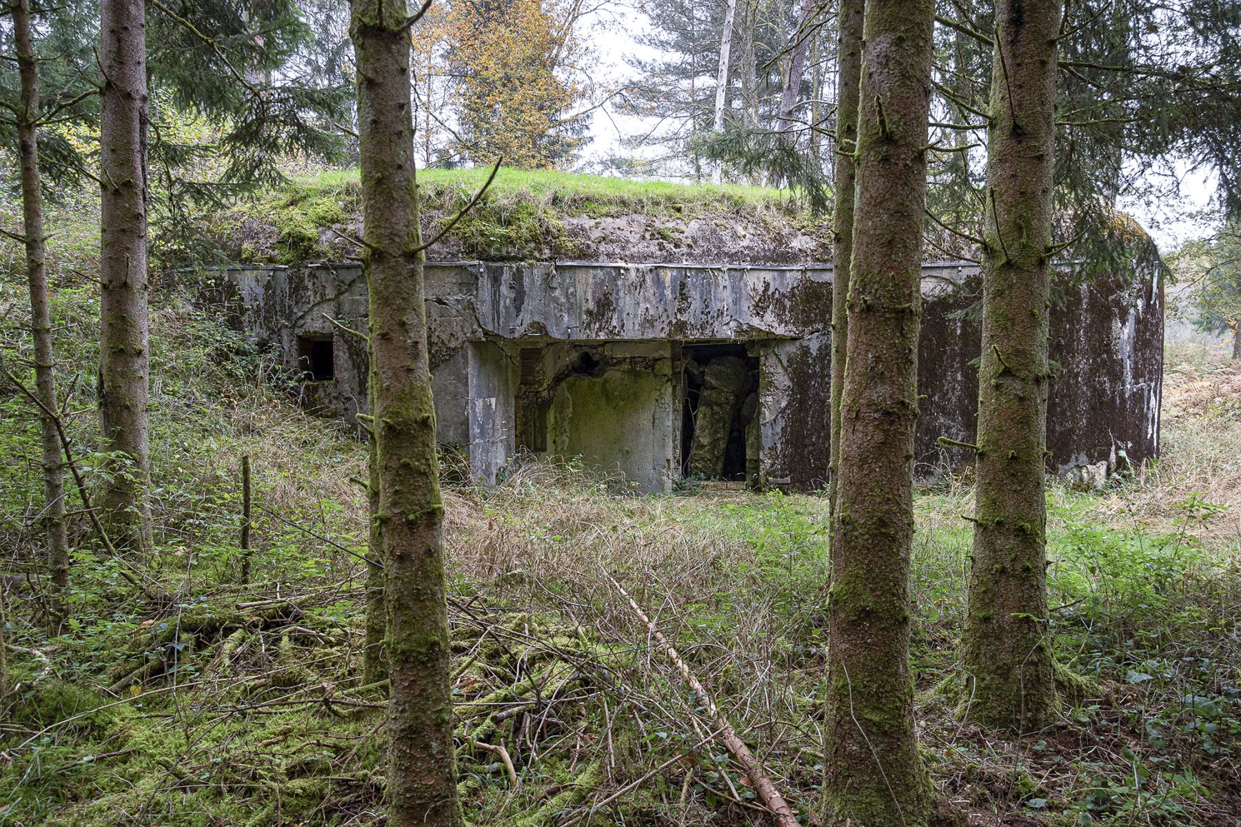 Ligne Maginot - GRAFENWEIHER EST - (Casemate d'infanterie - Simple) - 