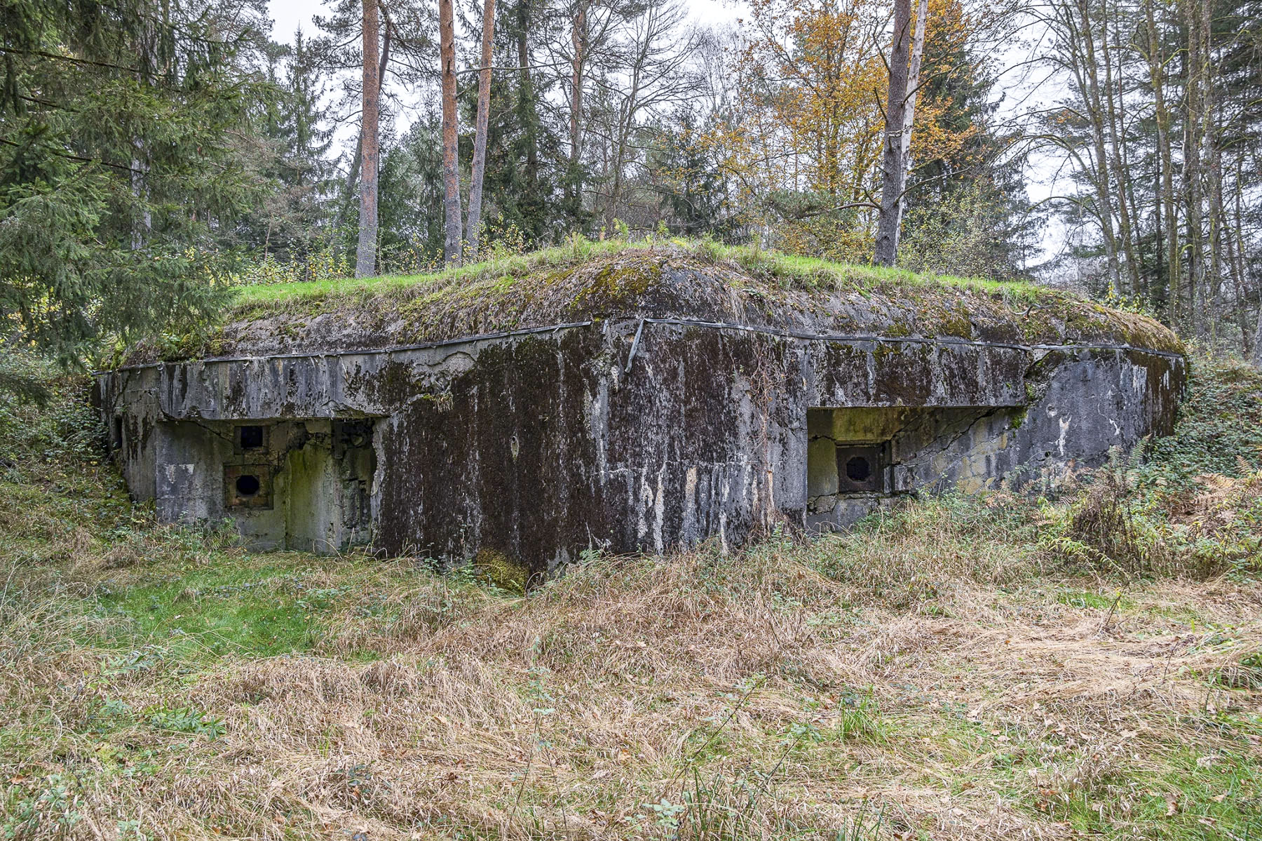 Ligne Maginot - GRAFENWEIHER EST - (Casemate d'infanterie - Simple) - 