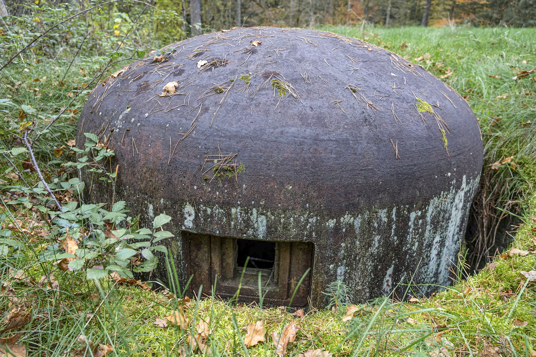 Ligne Maginot - GRAFENWEIHER EST - (Casemate d'infanterie - Simple) - Cloche GFM