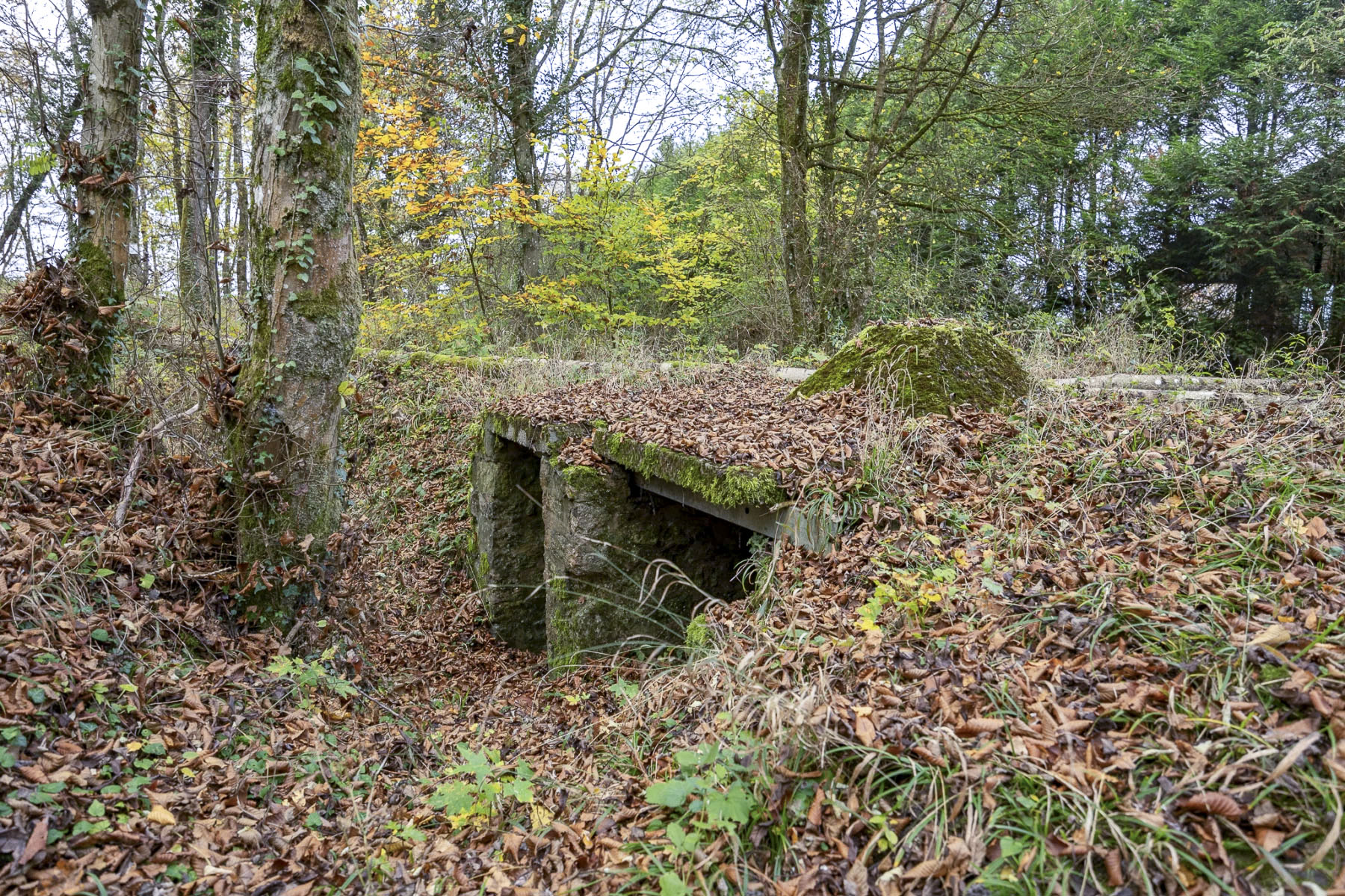 Ligne Maginot - HEIDENKOPF 1 - (Observatoire indéterminé) - Vue d'ensemble.