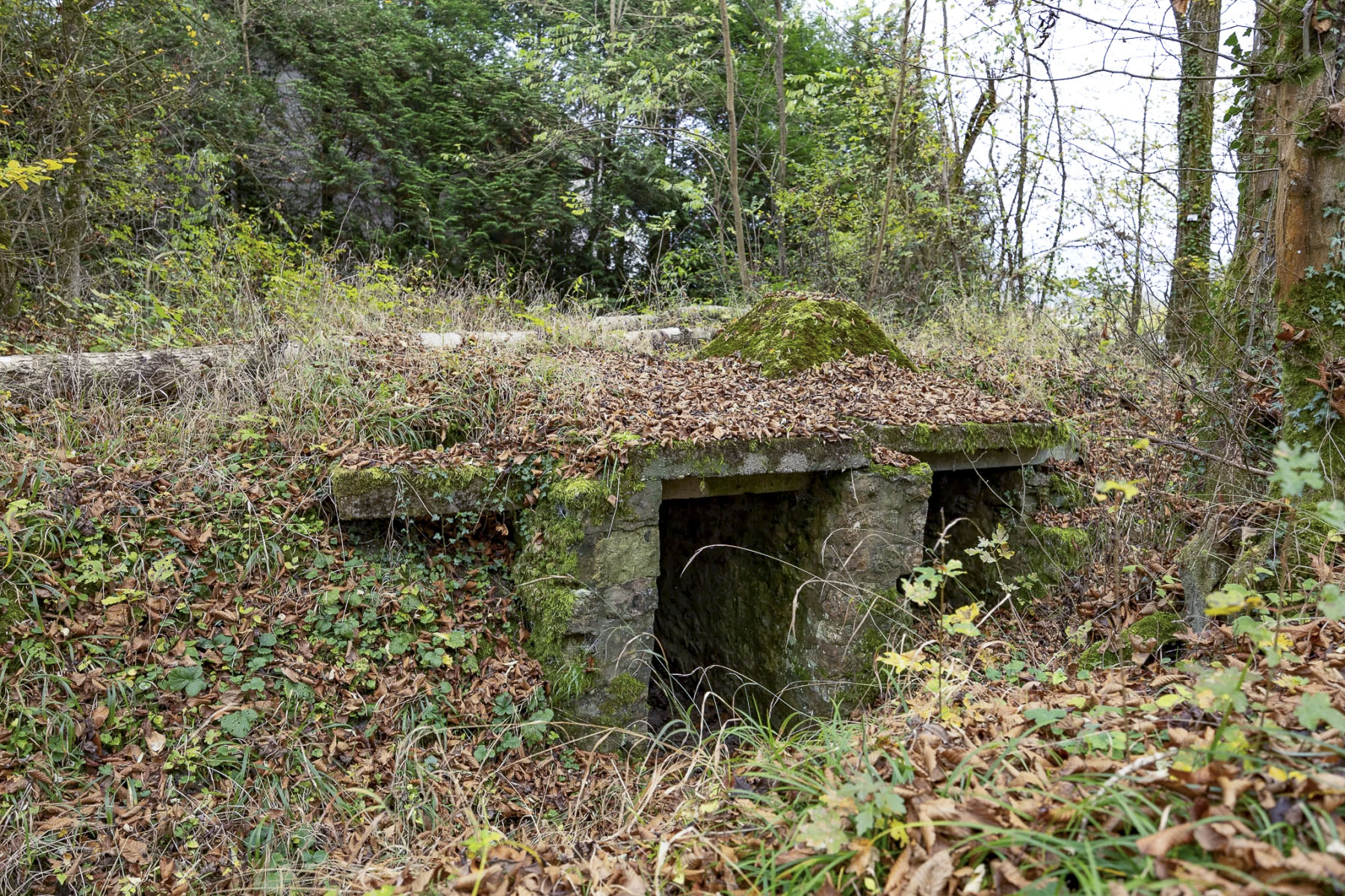 Ligne Maginot - HEIDENKOPF 1 - (Observatoire indéterminé) - Vue d'ensemble.